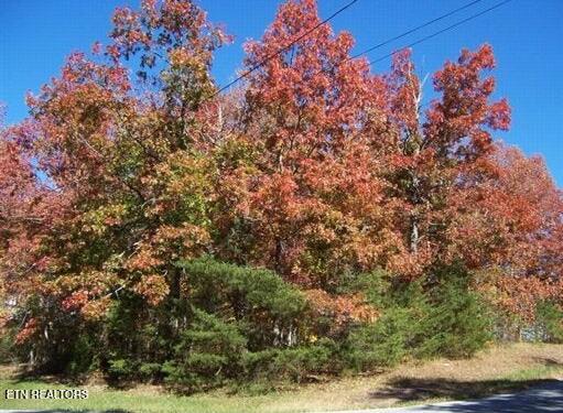 151 Baltusrol Road Crossville TN 38558