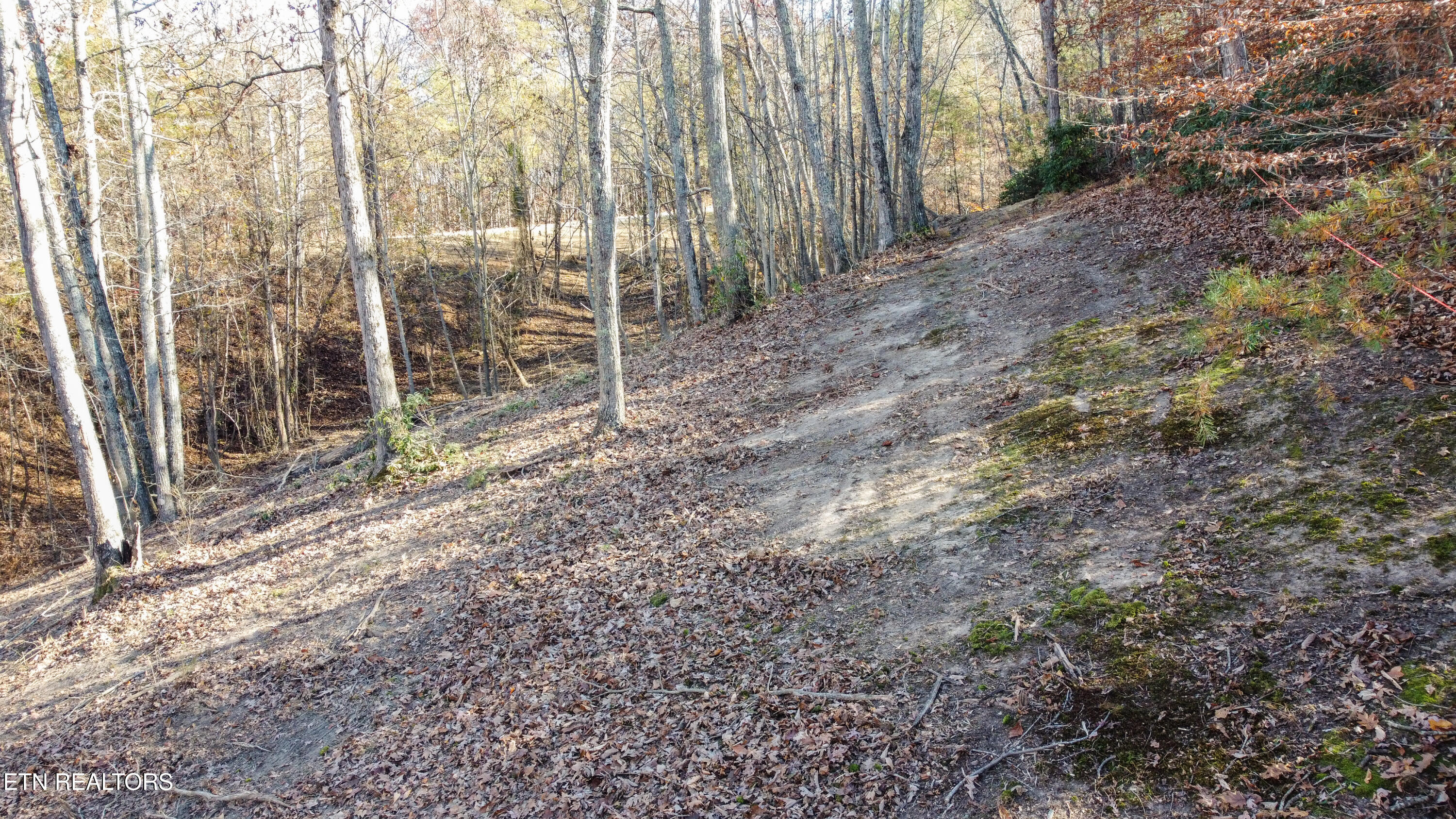 Lot 75 Turkey Ridge Road Rockwood TN 37854