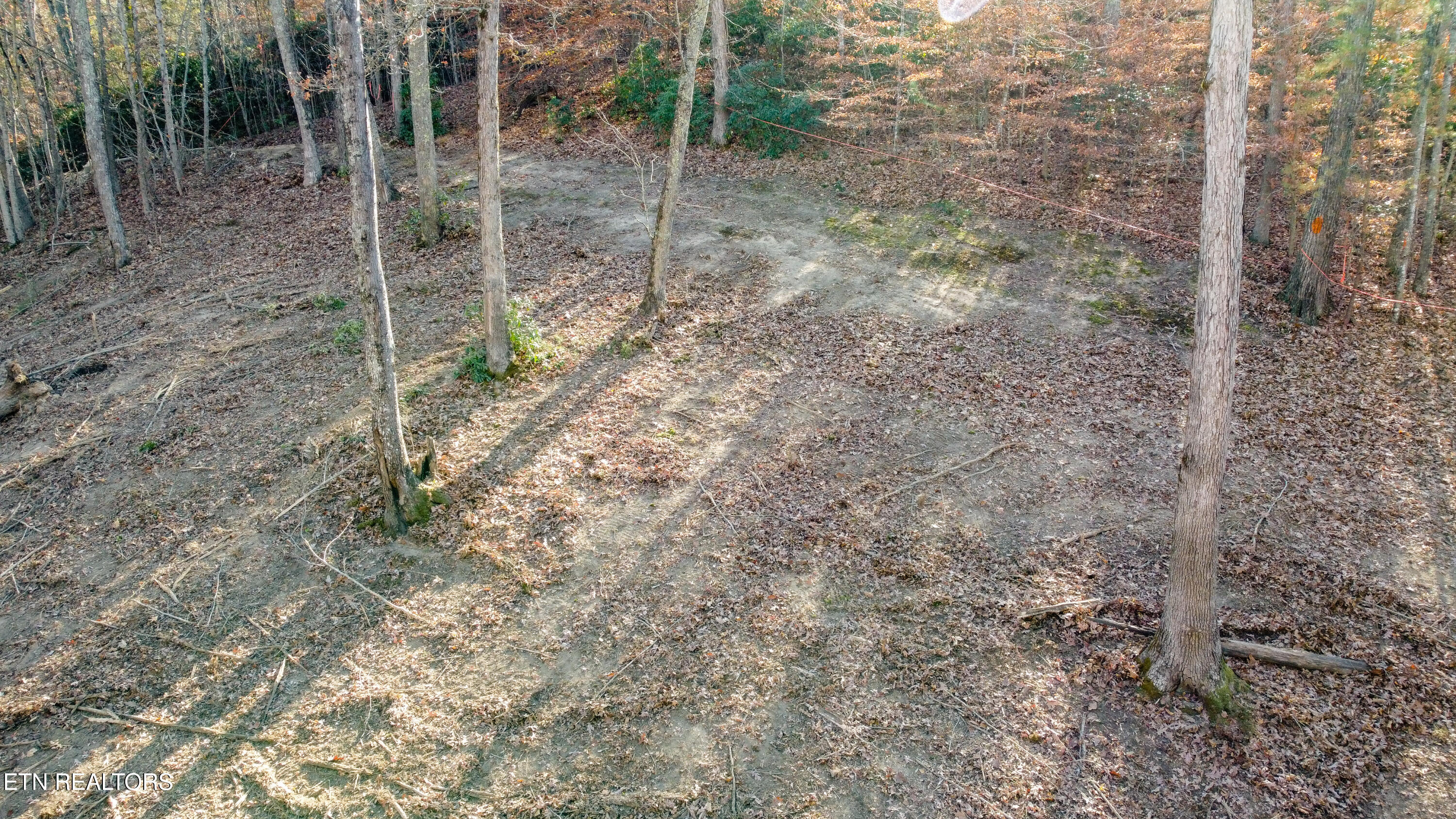 Lot 75 Turkey Ridge Road Rockwood TN 37854