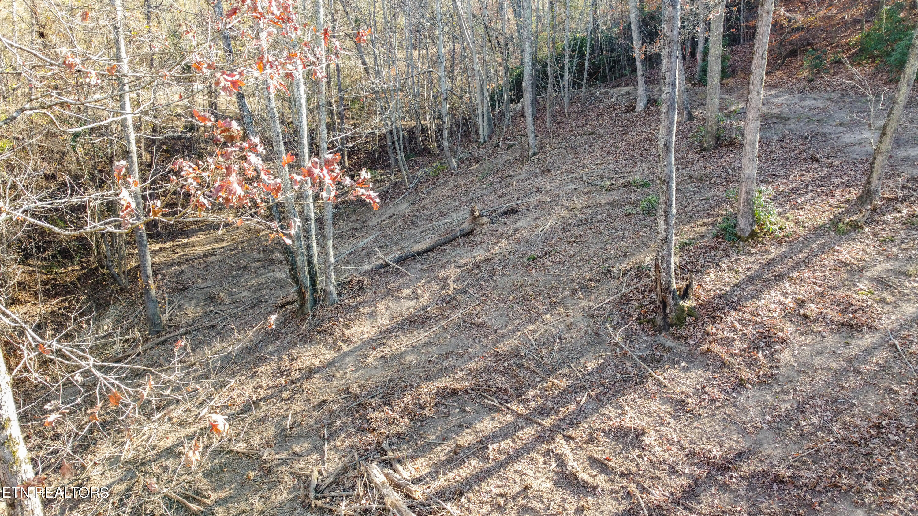 Lot 75 Turkey Ridge Road Rockwood TN 37854