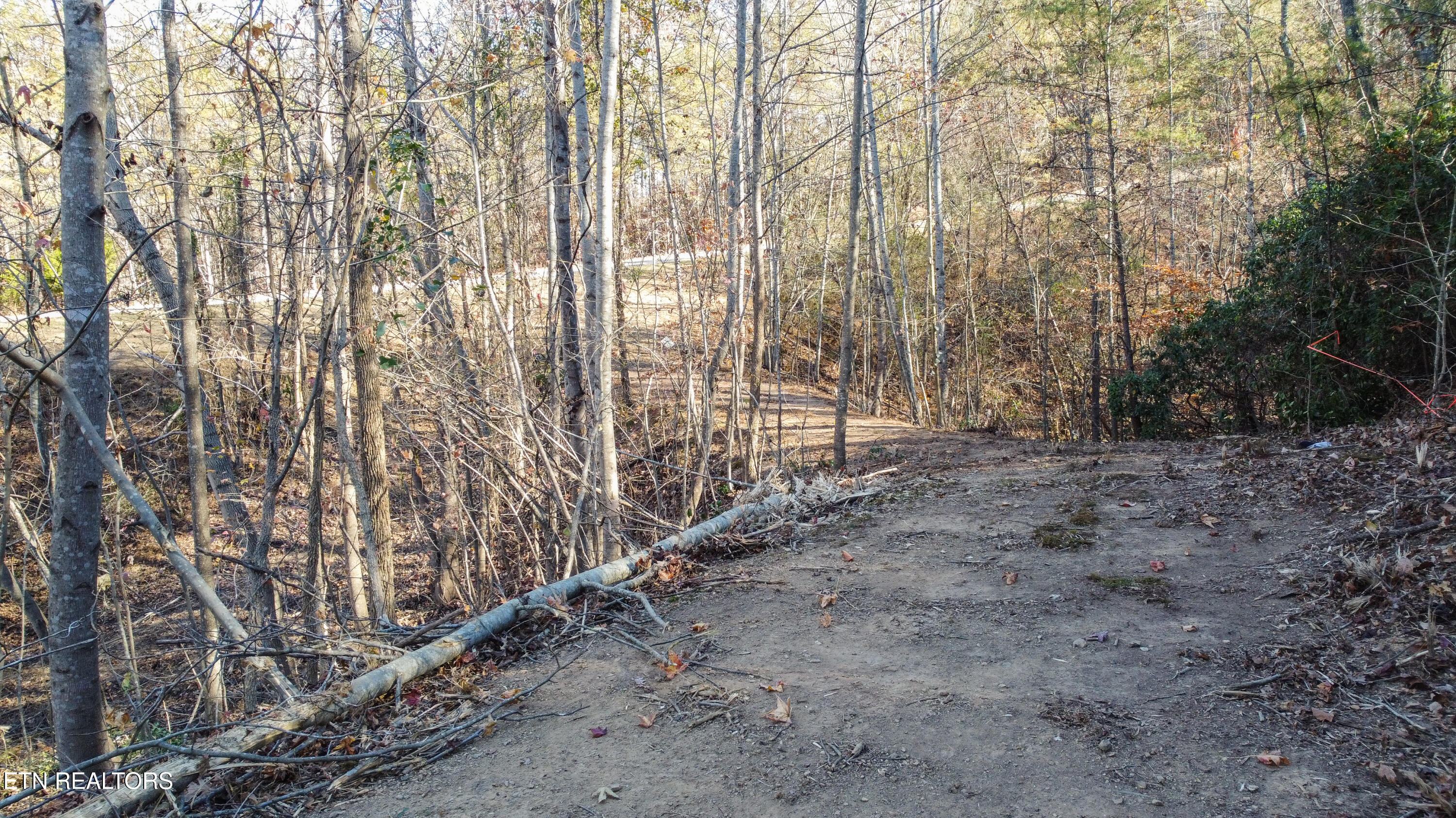 Lot 75 Turkey Ridge Road Rockwood TN 37854