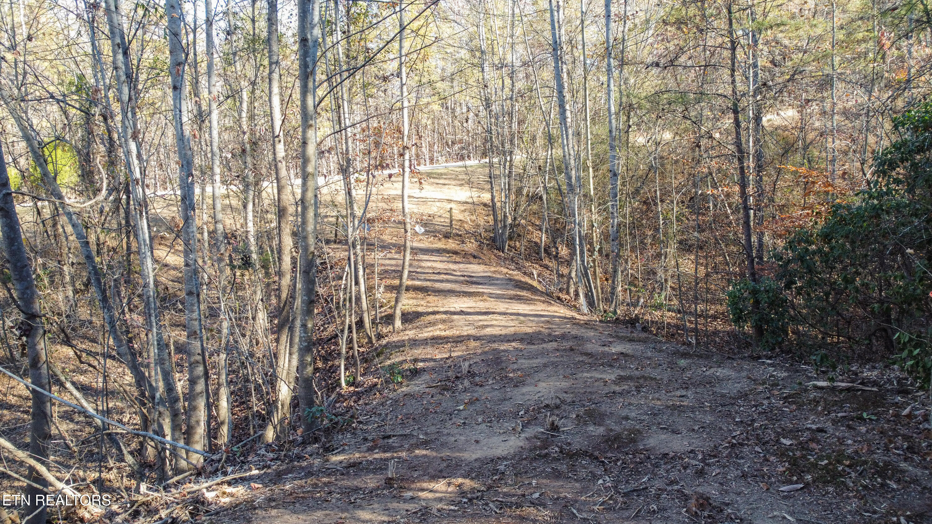 Lot 75 Turkey Ridge Road Rockwood TN 37854