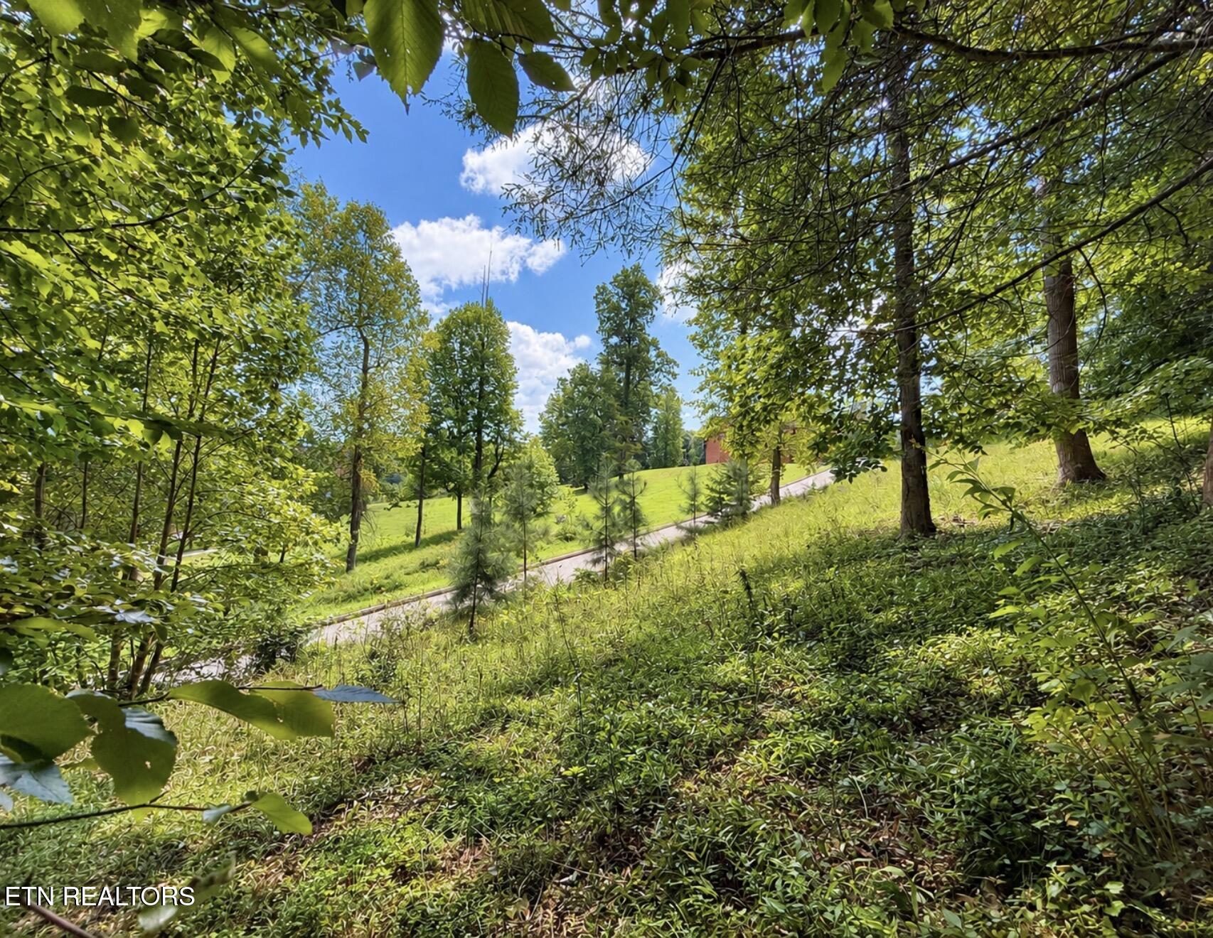 Foxwood Drive Caryville TN 37714
