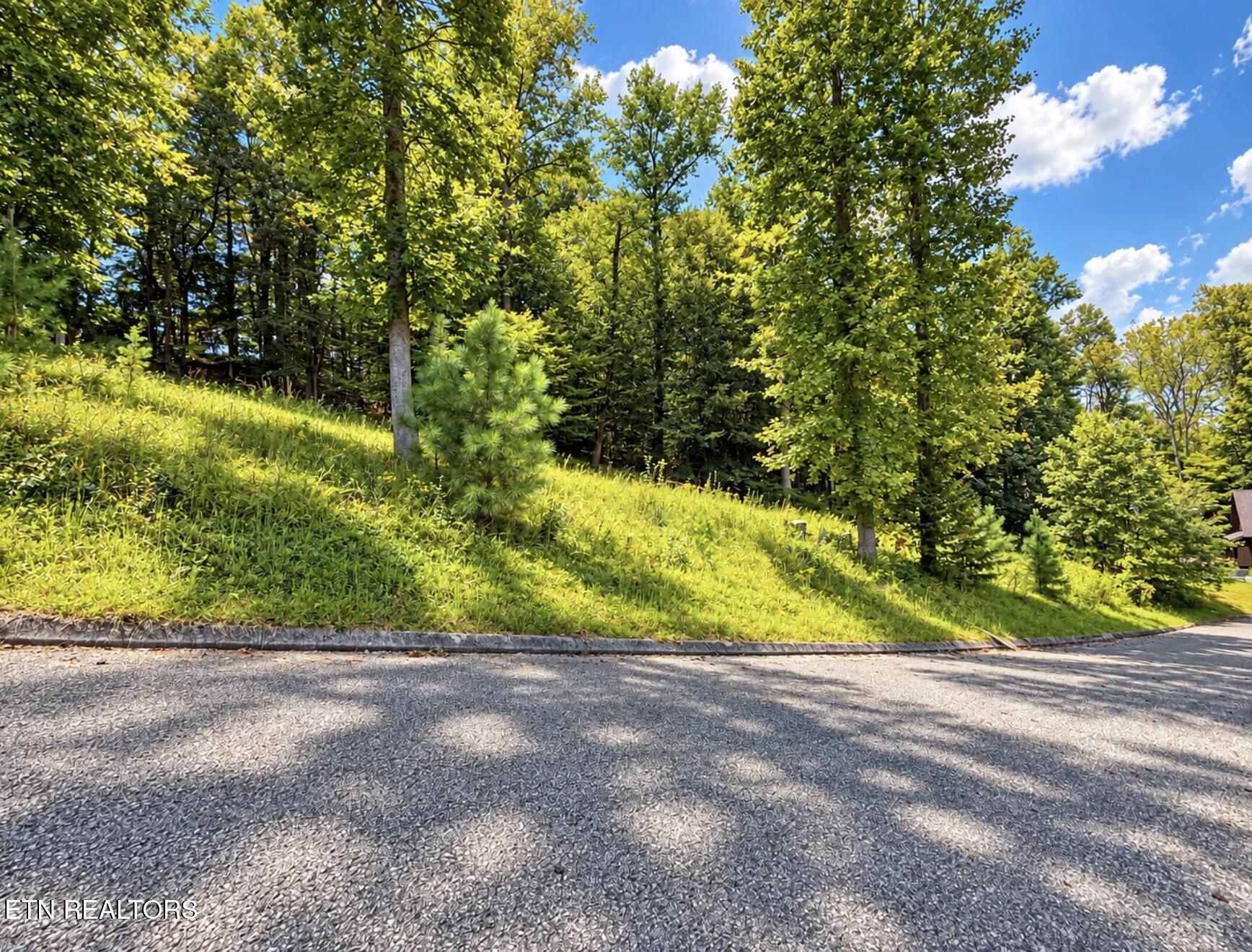 Foxwood Drive Caryville TN 37714