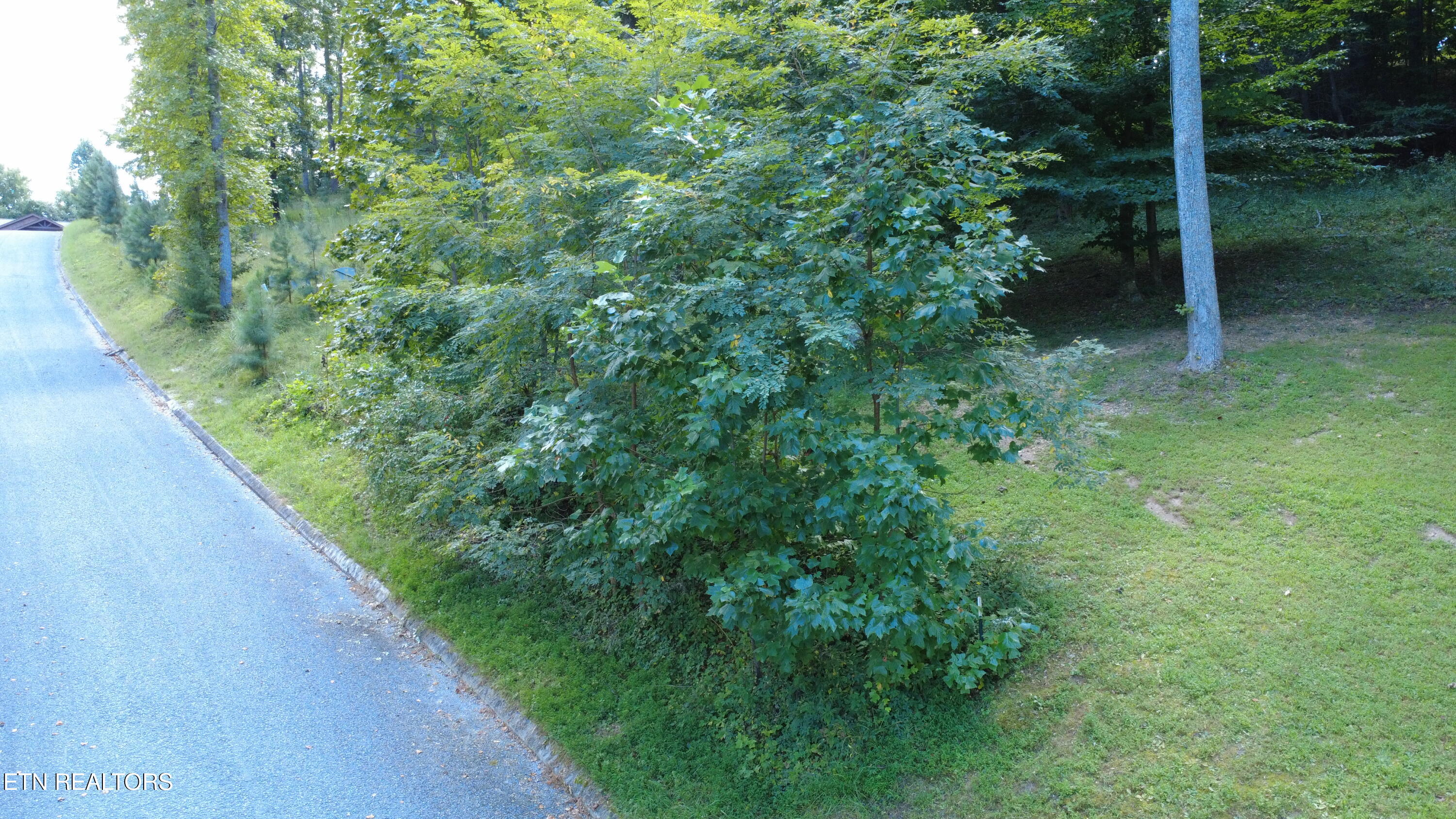 Foxwood Drive Caryville TN 37714