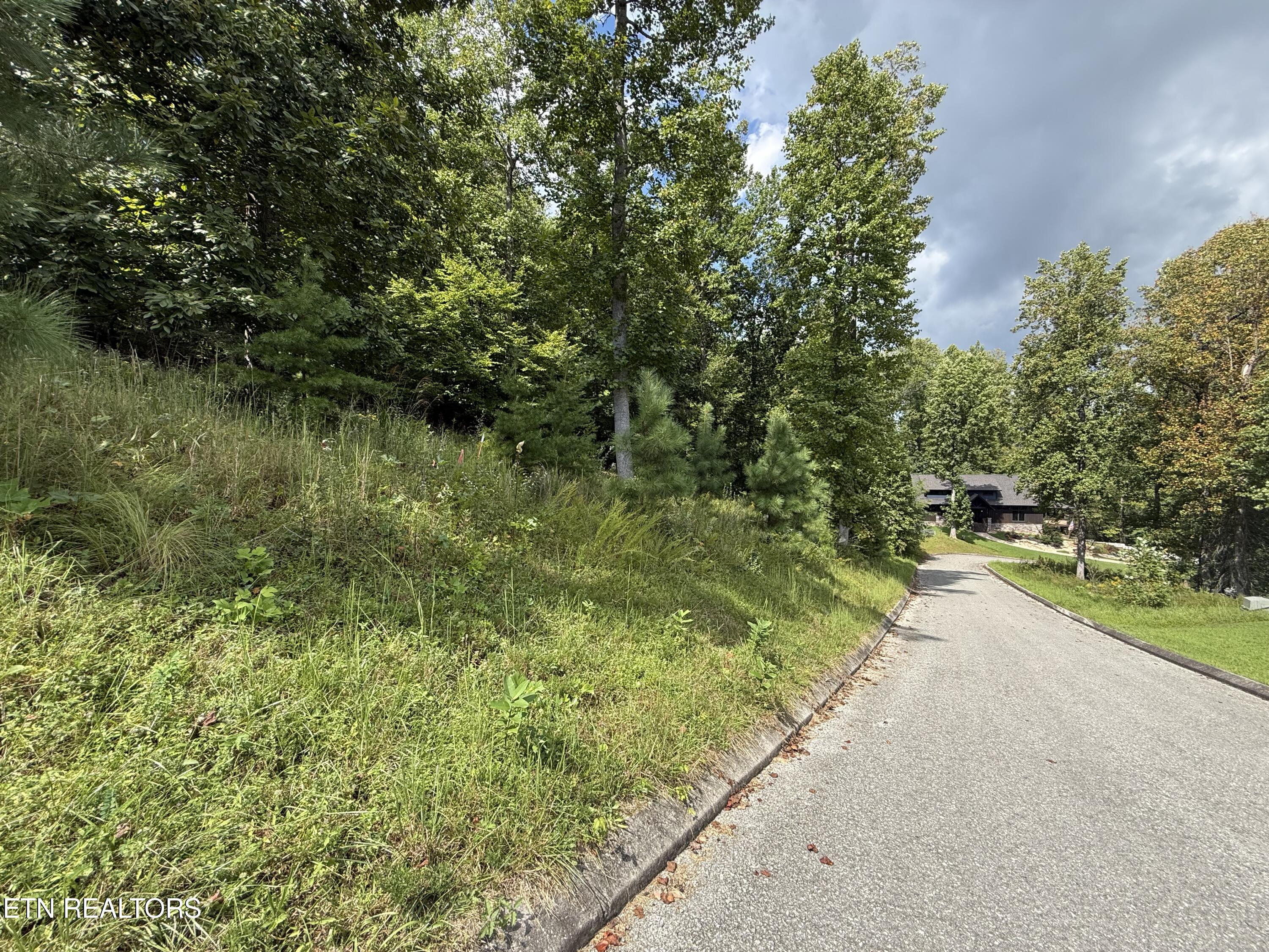Foxwood Drive Caryville TN 37714