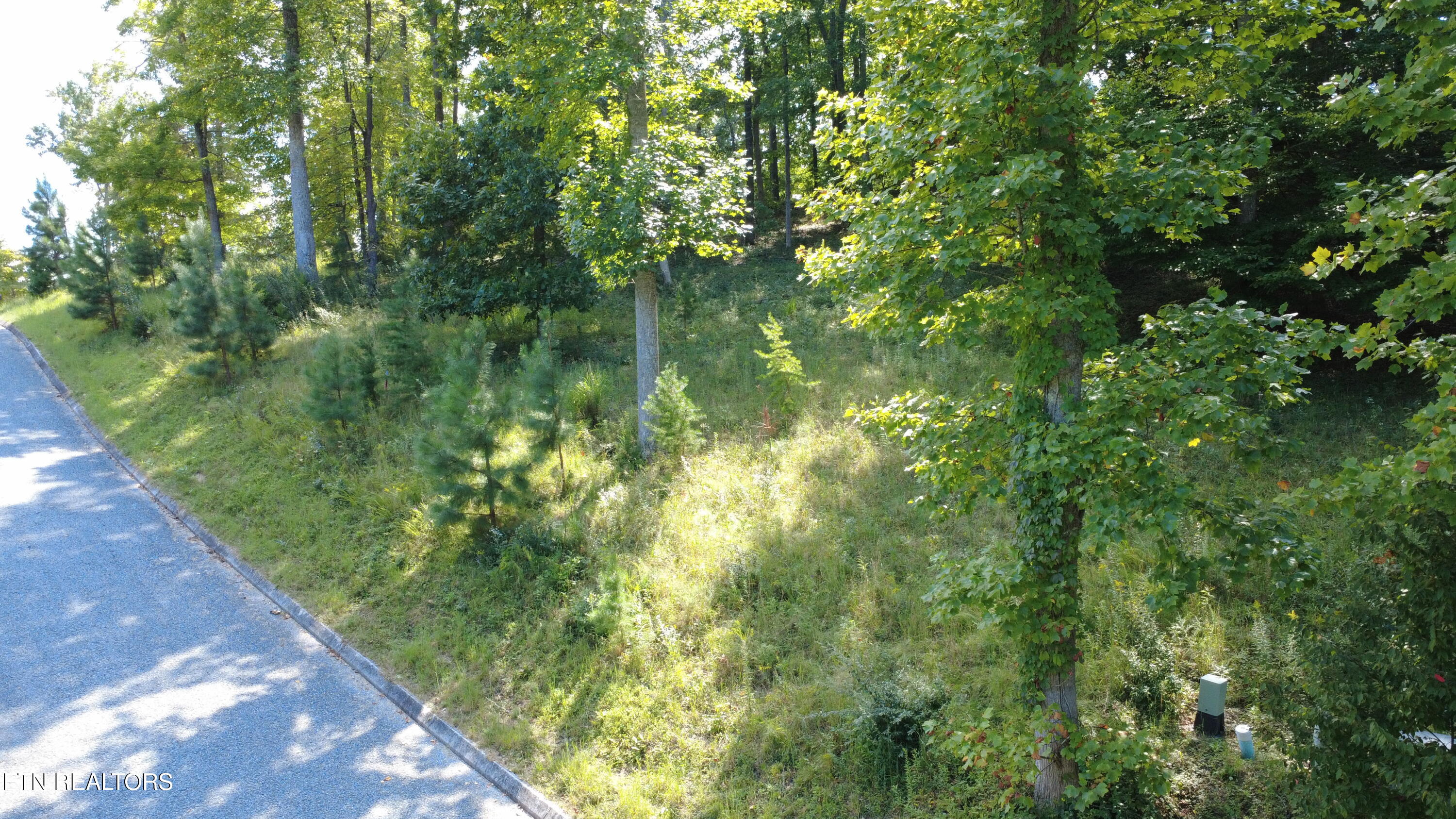 Foxwood Drive Caryville TN 37714