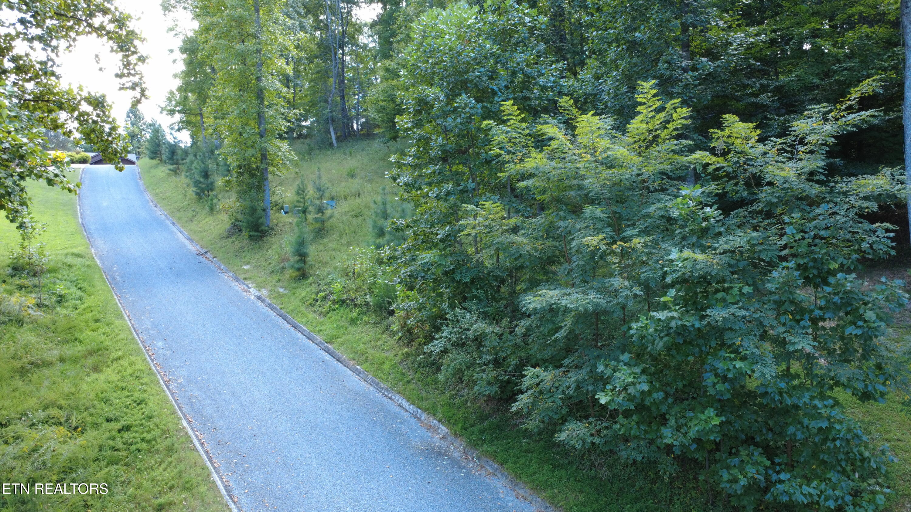Foxwood Drive Caryville TN 37714