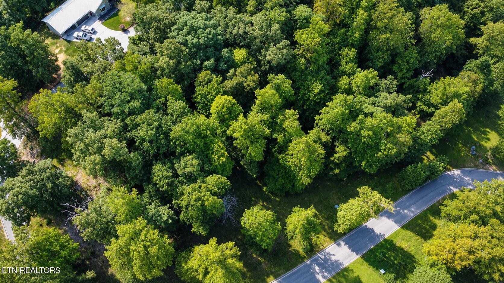 Foxwood Drive Caryville TN 37714