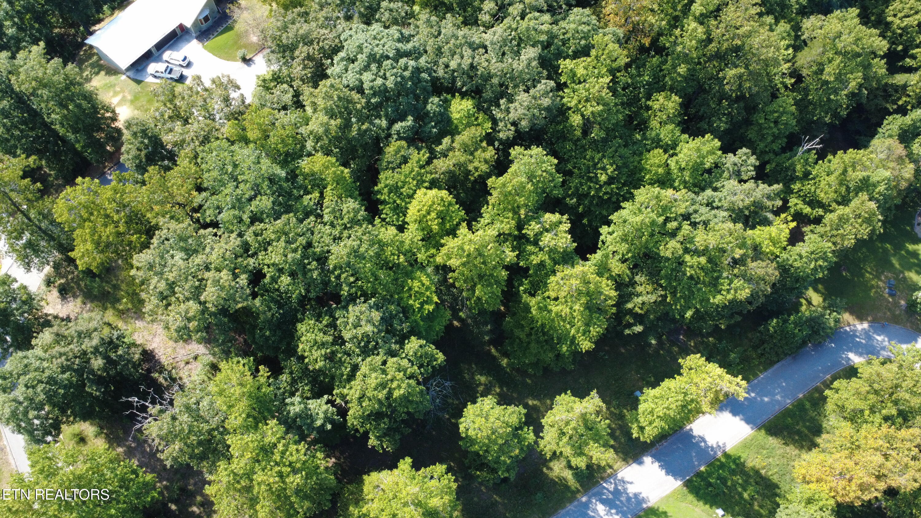 Foxwood Drive Caryville TN 37714