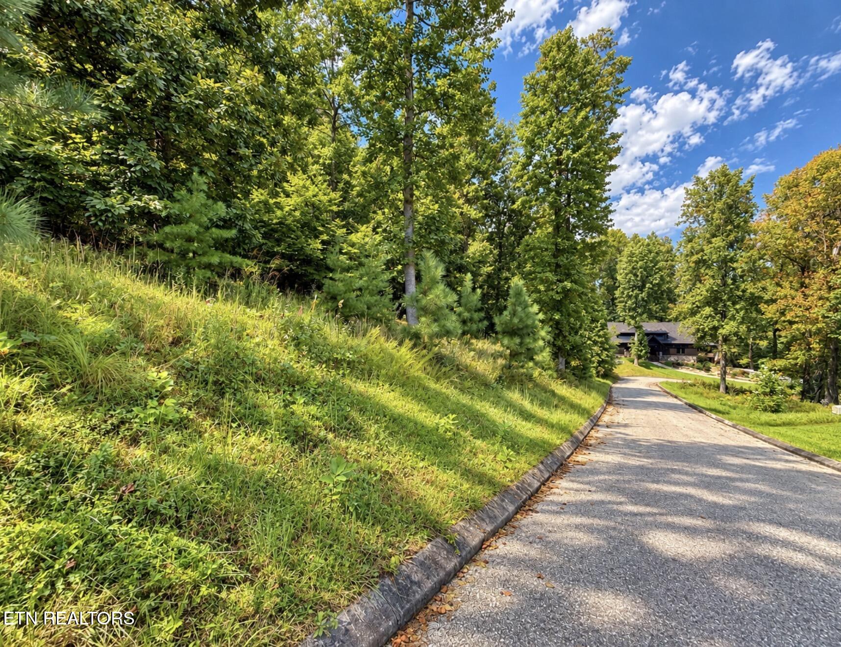 Foxwood Drive Caryville TN 37714