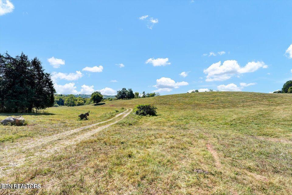 0 Jim Luttrell Lane Knoxville TN 37918