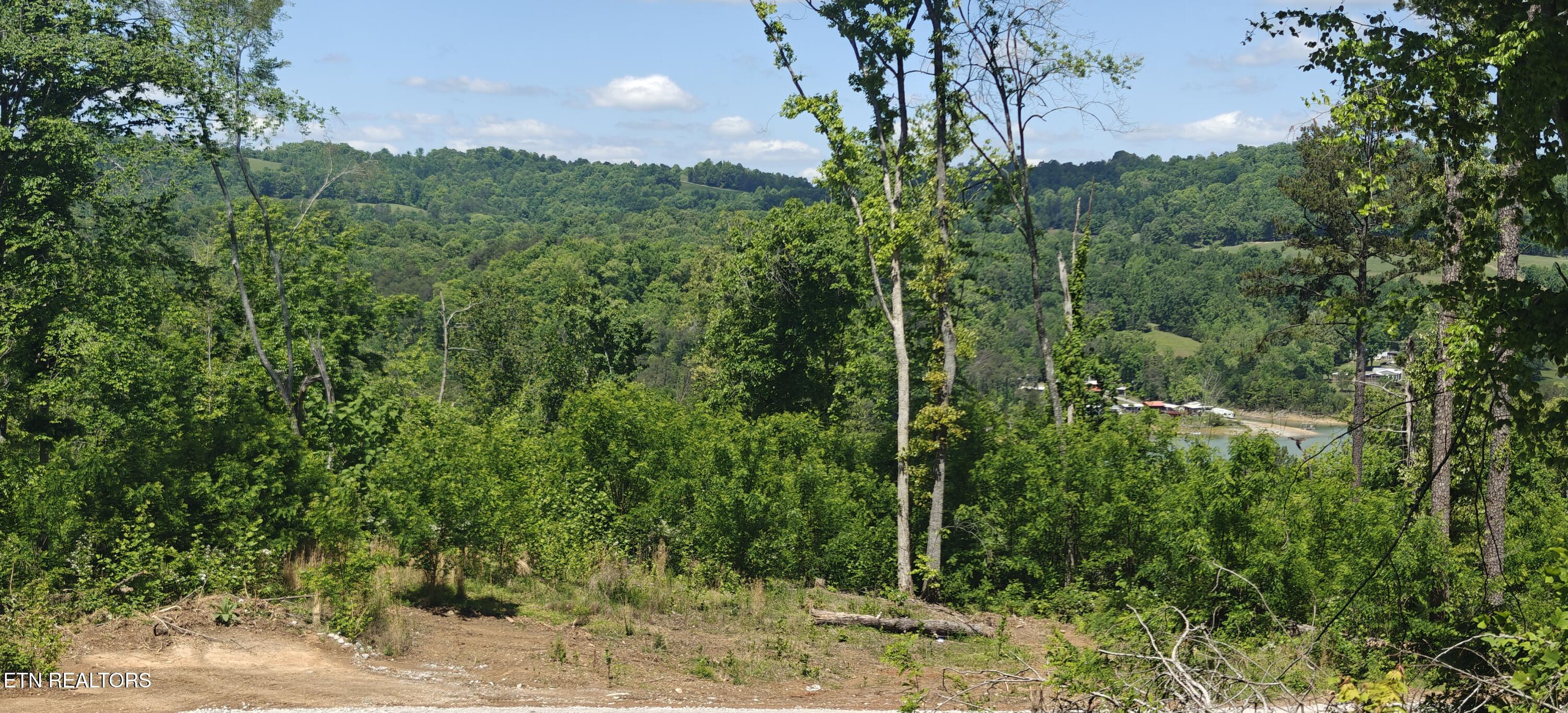 Lake Lane New Tazewell TN 37825