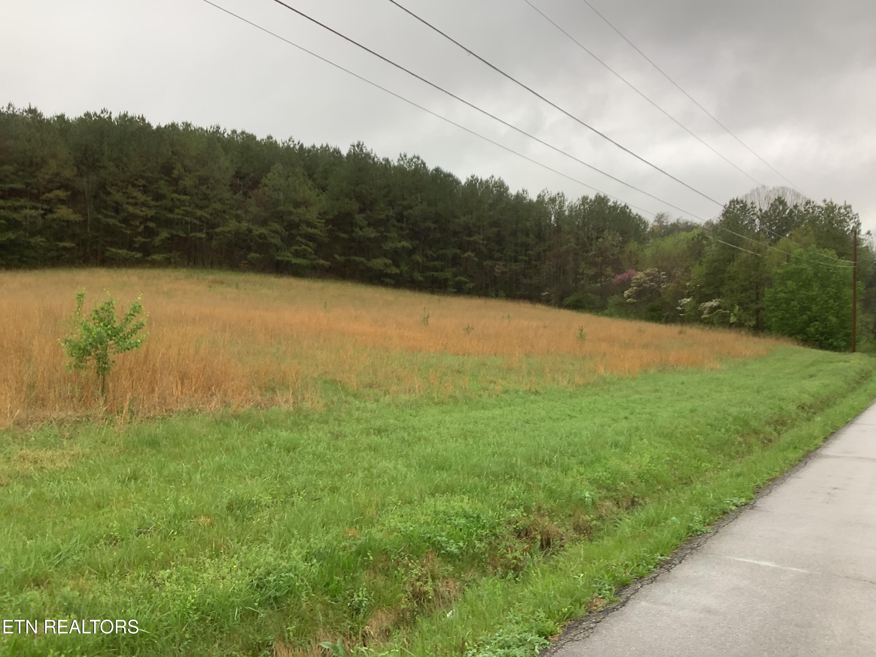 209 Woods Hollow Road Decatur TN 37322