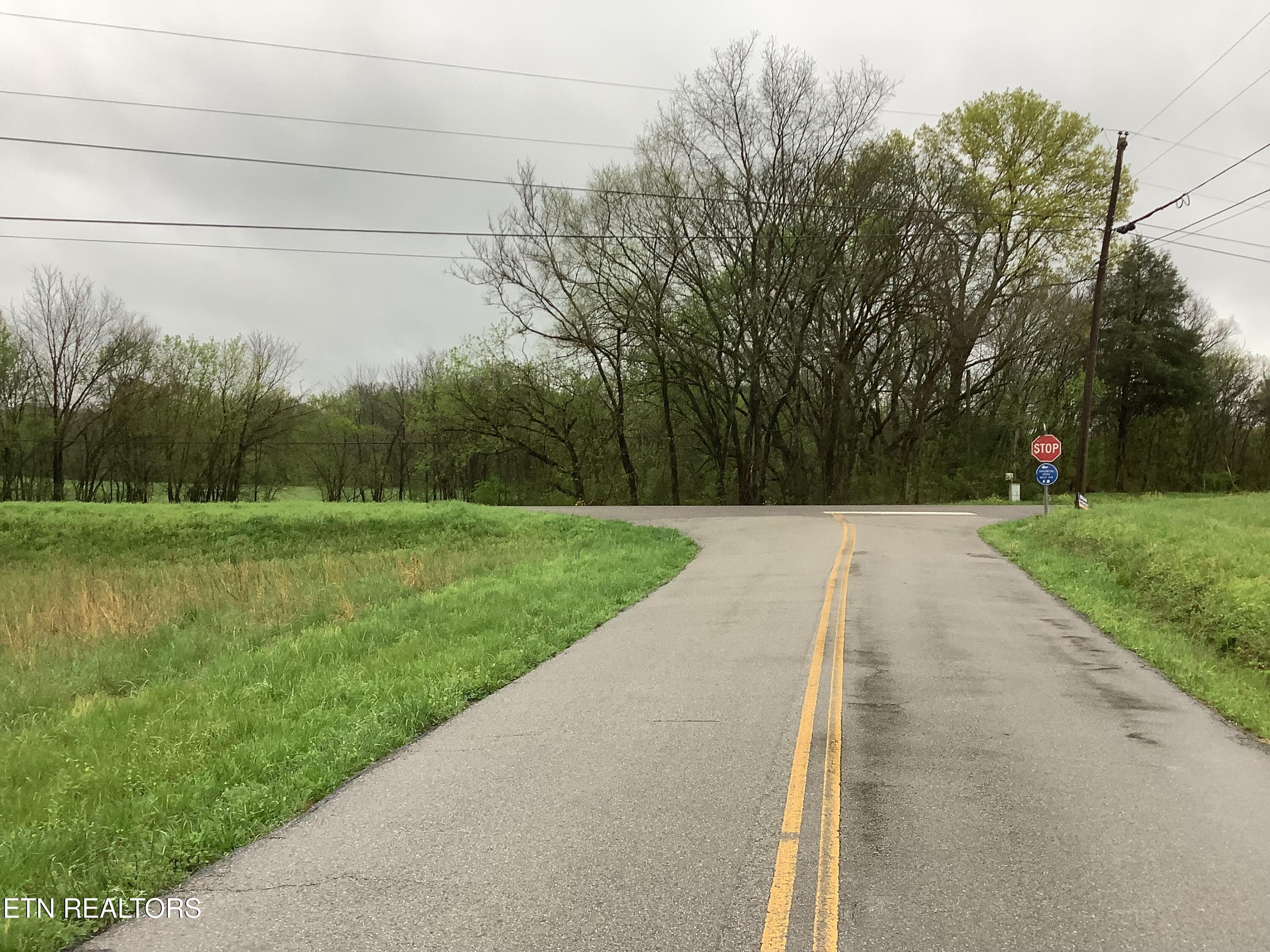 209 Woods Hollow Road Decatur TN 37322