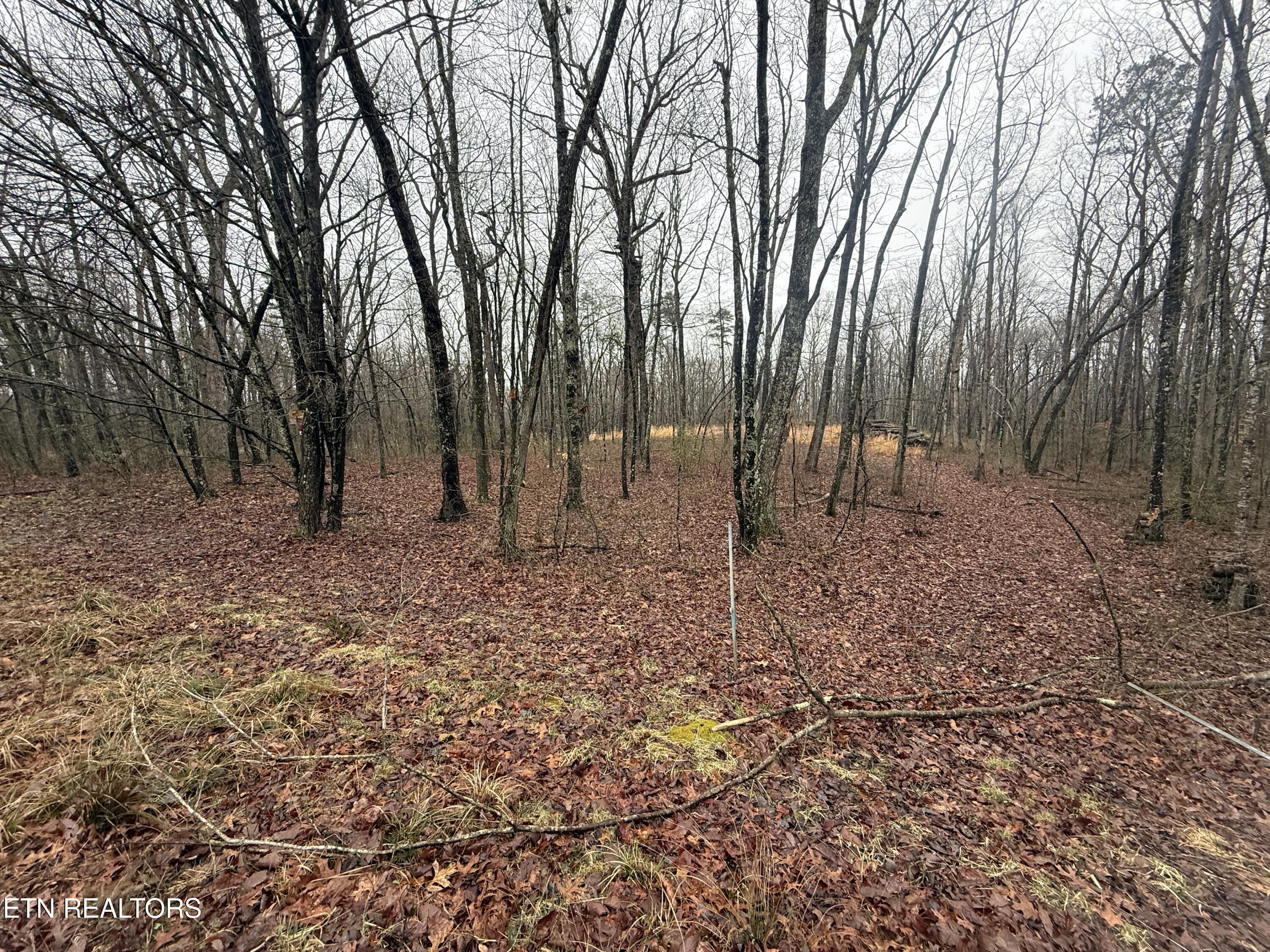 551 Cliff Park Road Monterey TN 38574