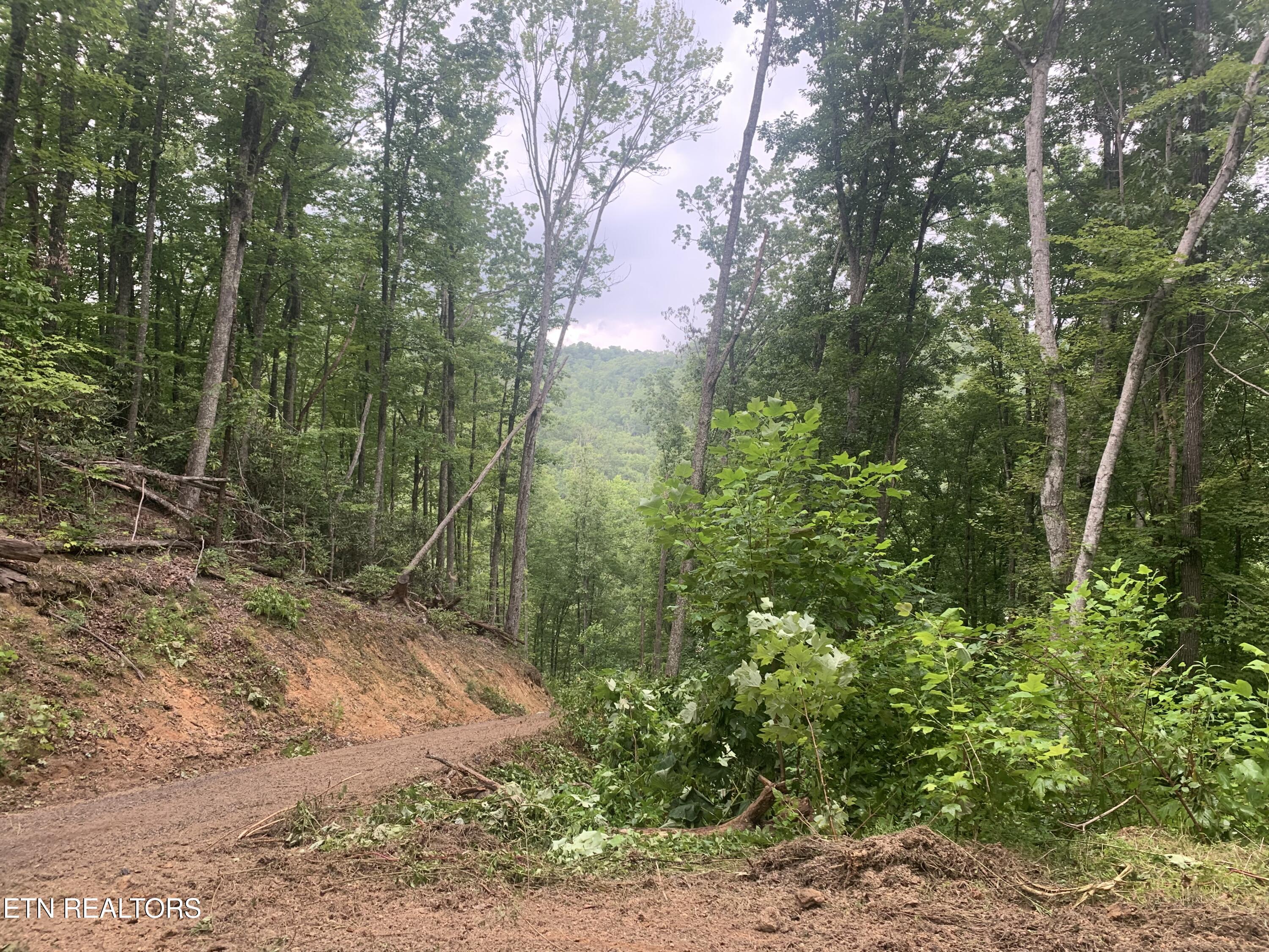 0 Happy Hollow Road Sevierville TN 37862