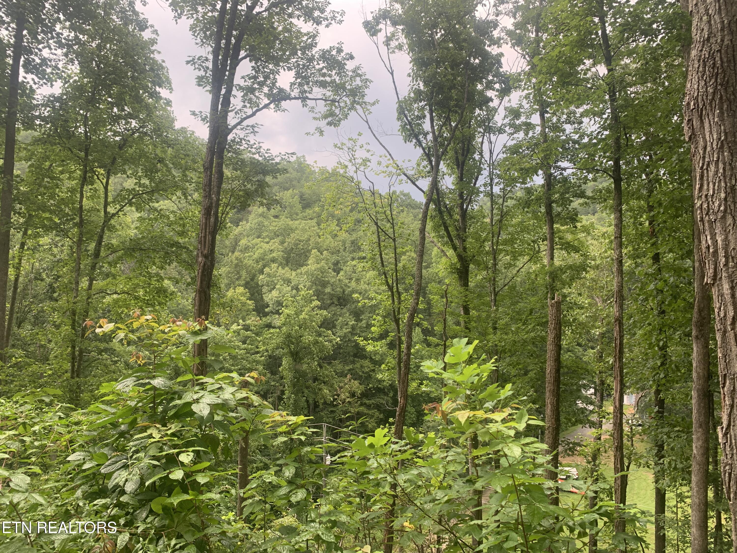 0 Happy Hollow Road Sevierville TN 37862