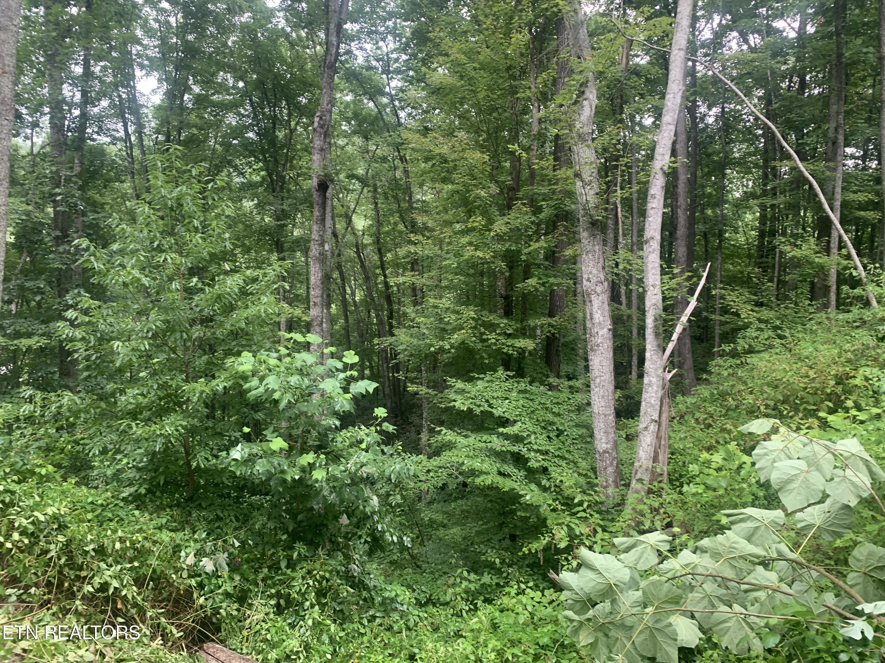 0 Happy Hollow Road Sevierville TN 37862
