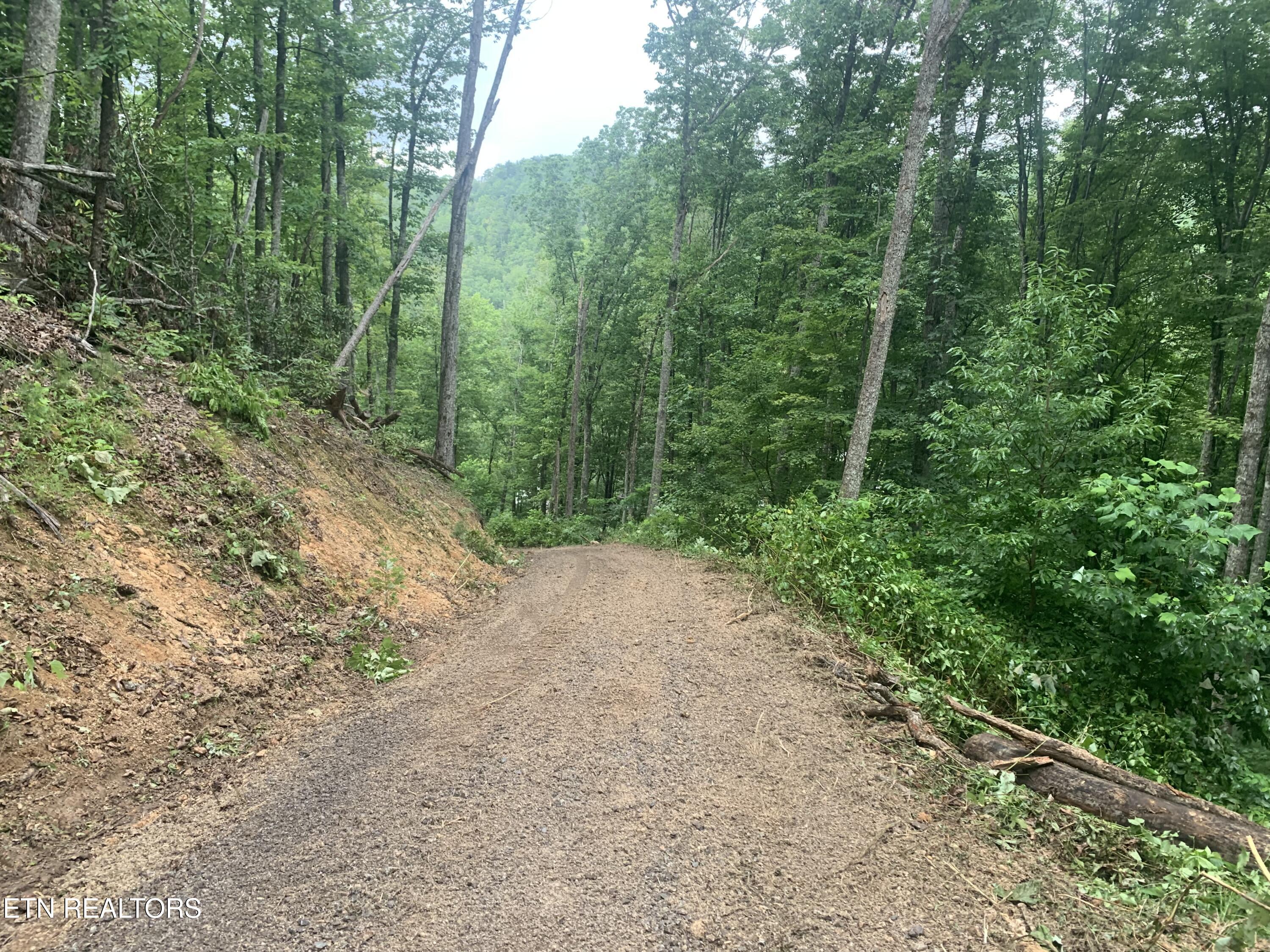 0 Happy Hollow Road Sevierville TN 37862