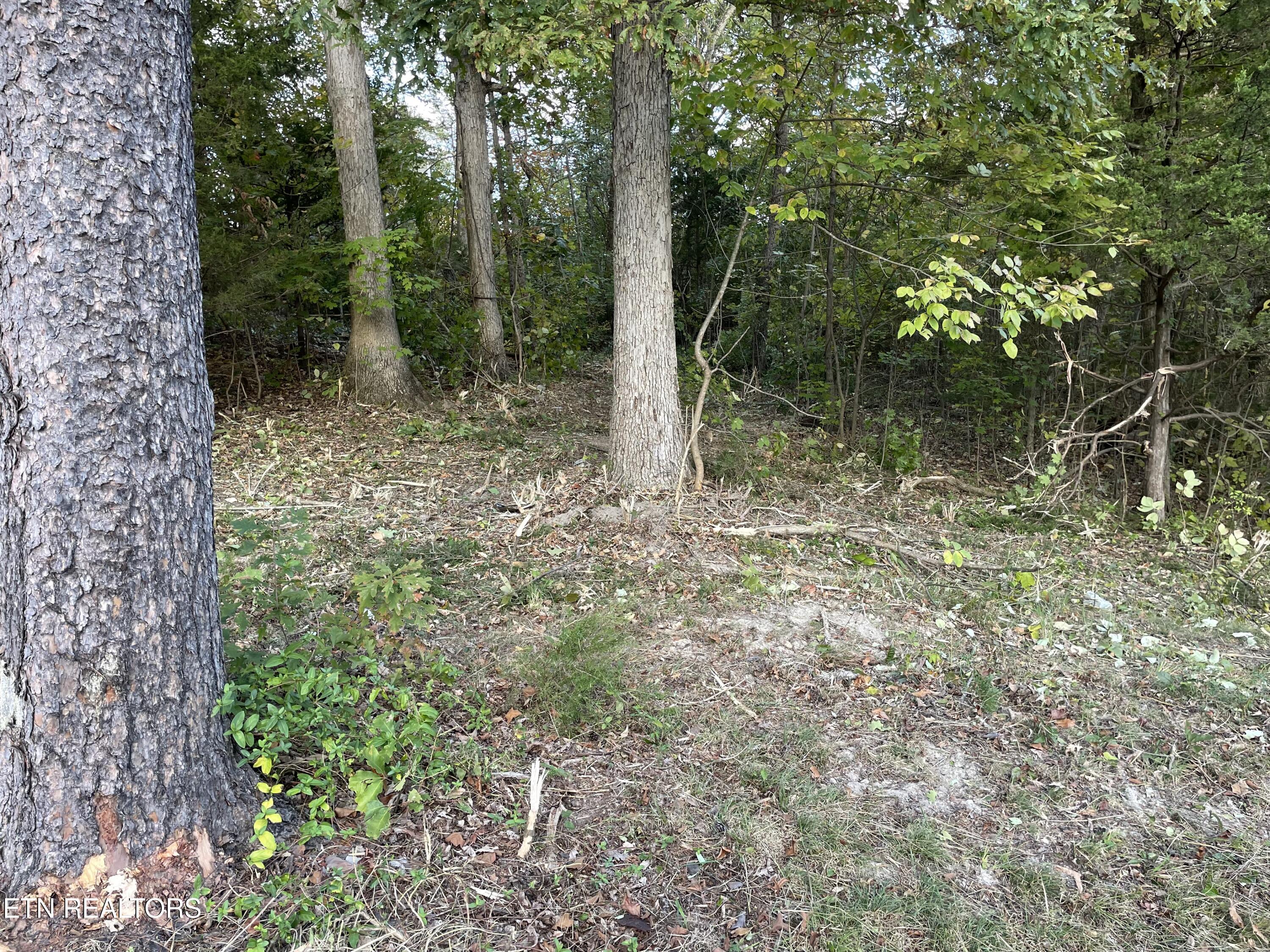 453 Statem Gap Road Morristown TN 37813