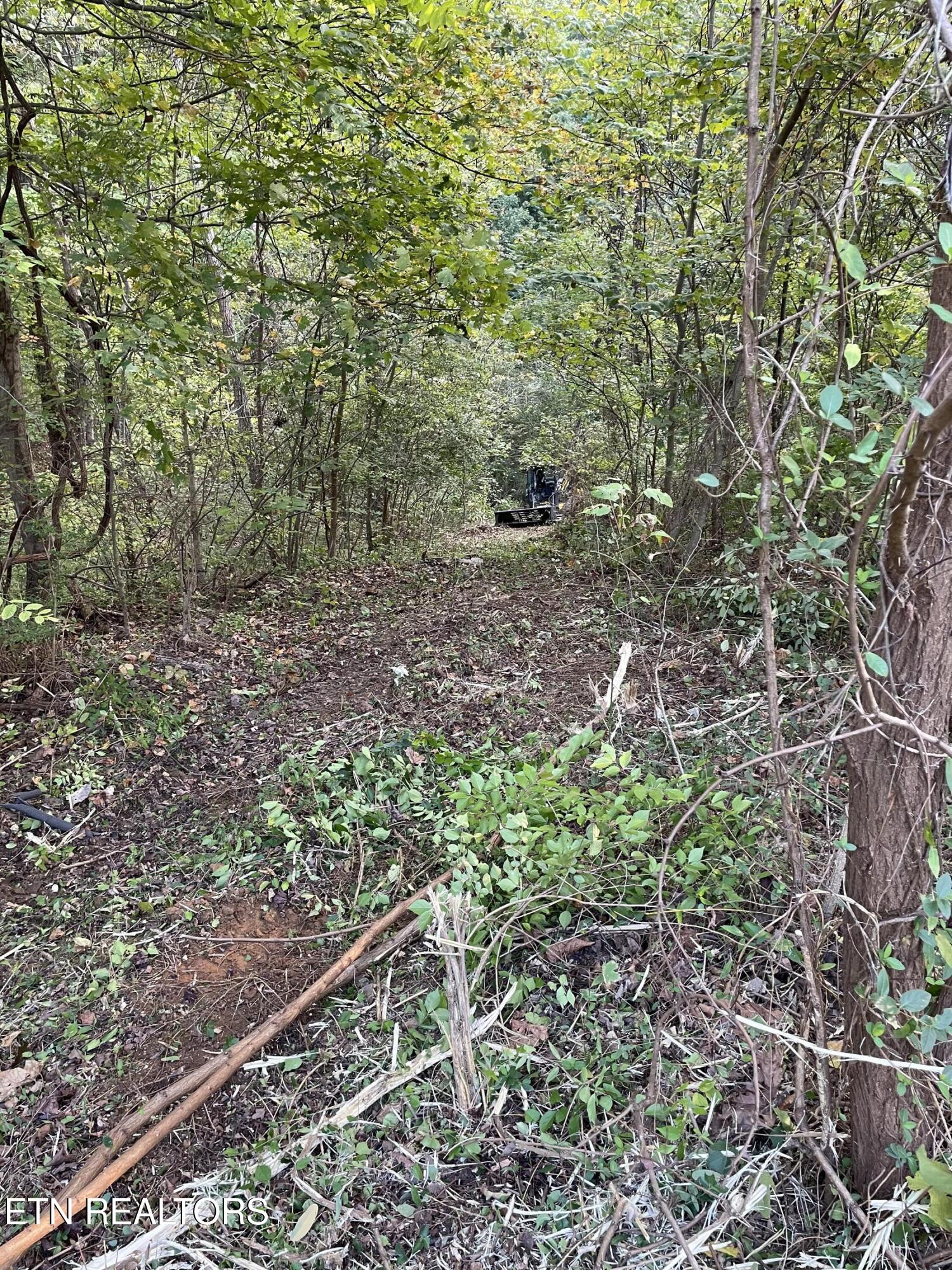 453 Statem Gap Road Morristown TN 37813