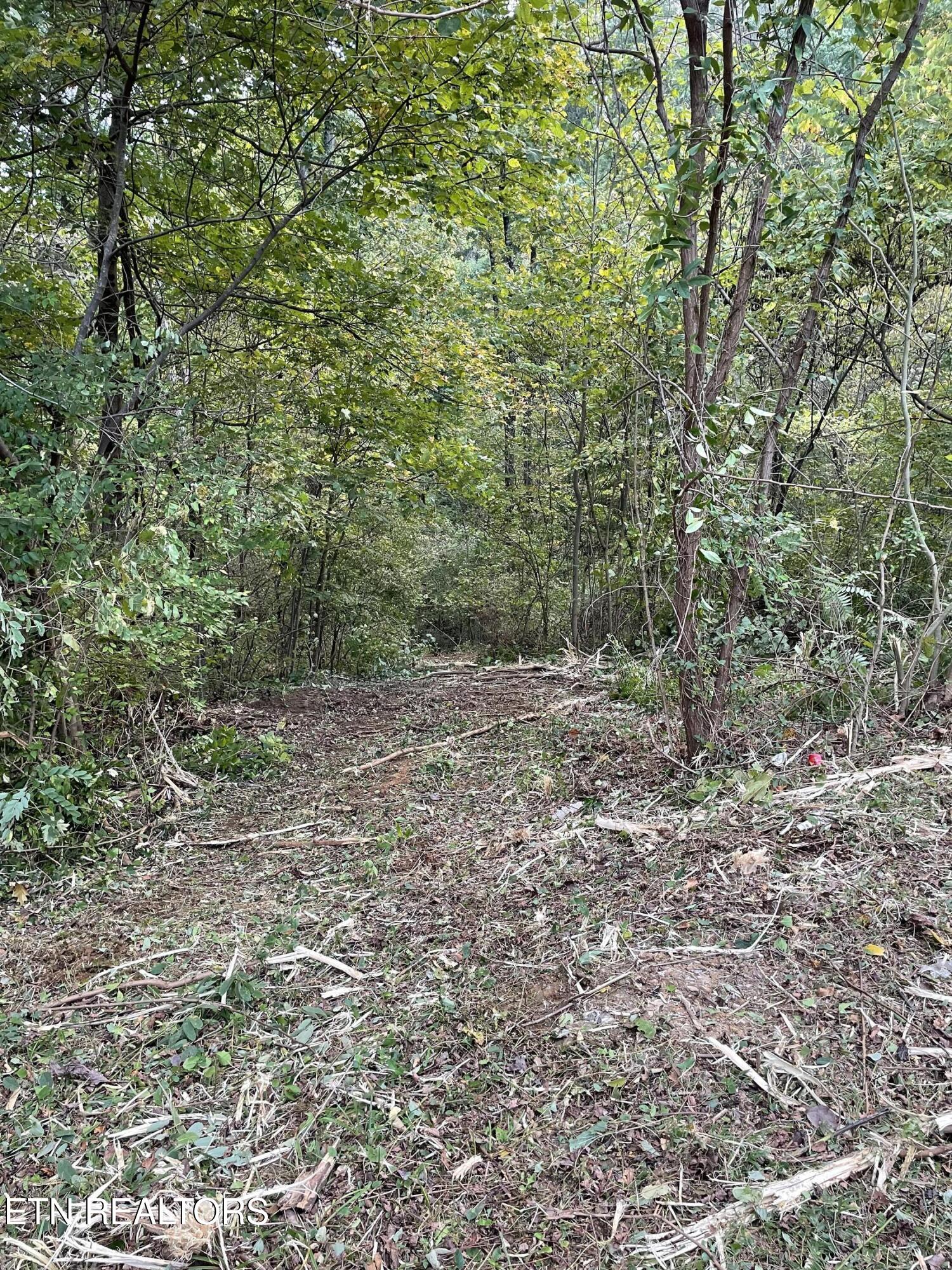 453 Statem Gap Road Morristown TN 37813
