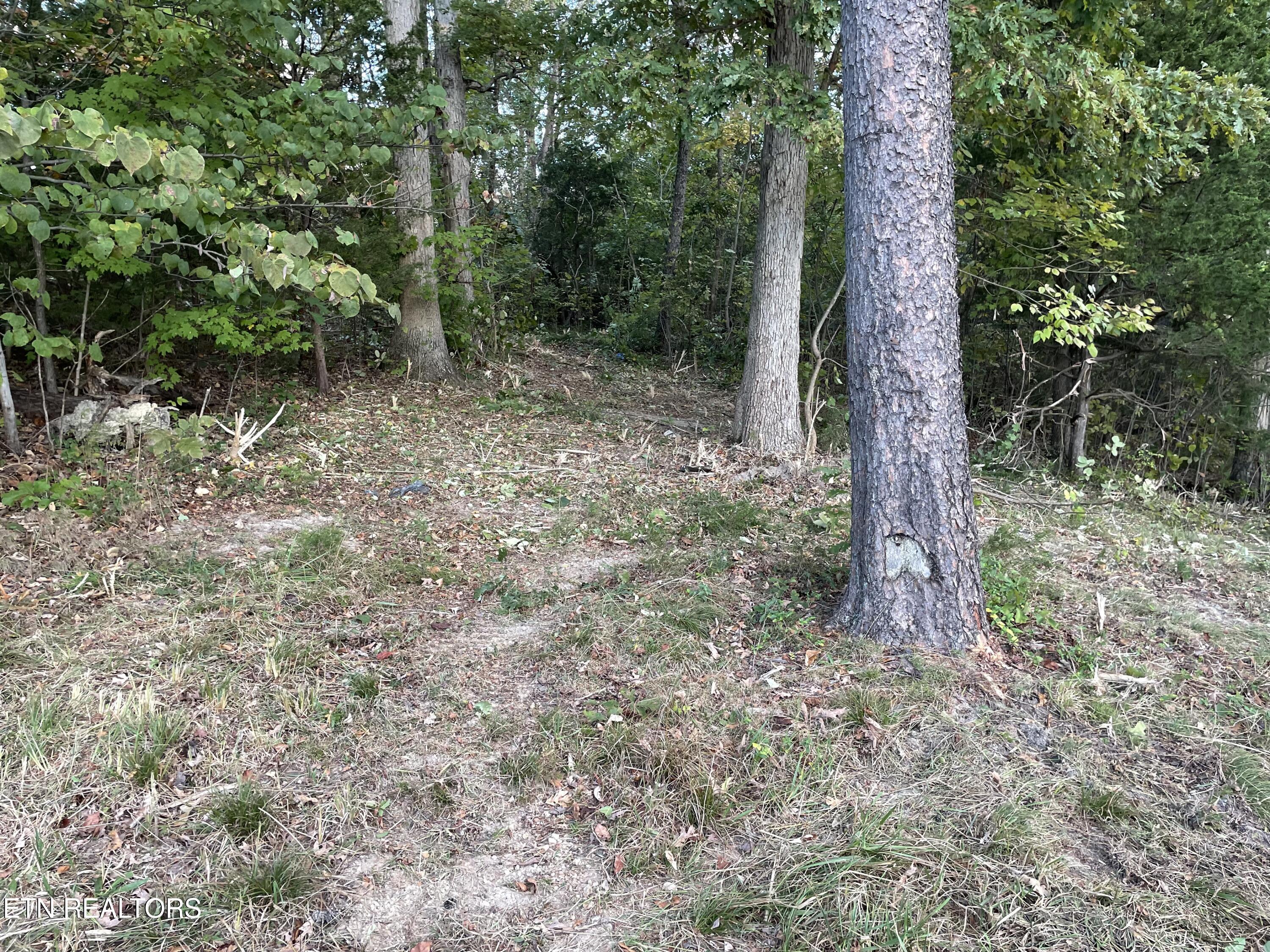453 Statem Gap Road Morristown TN 37813