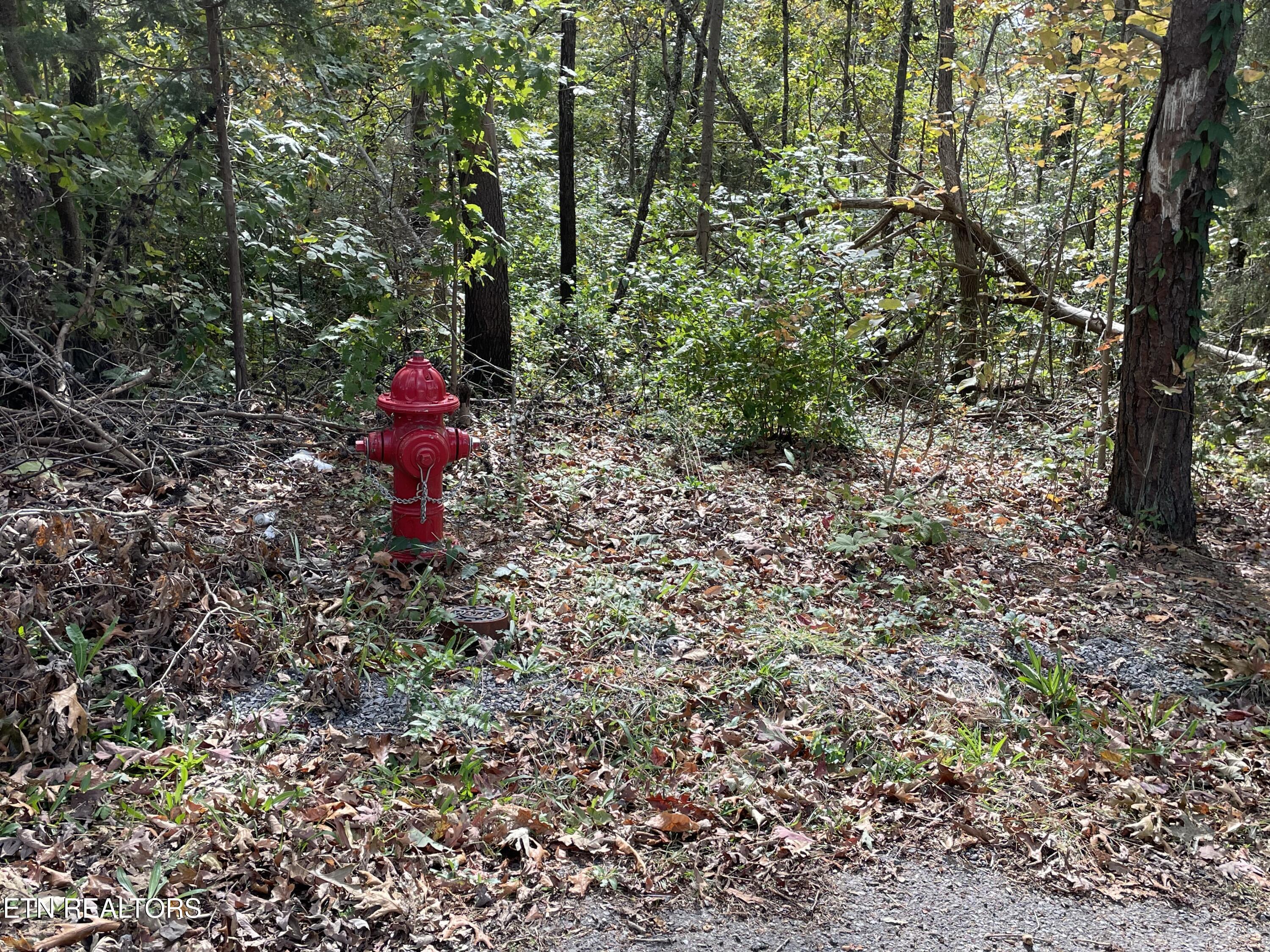 453 Statem Gap Road Morristown TN 37813