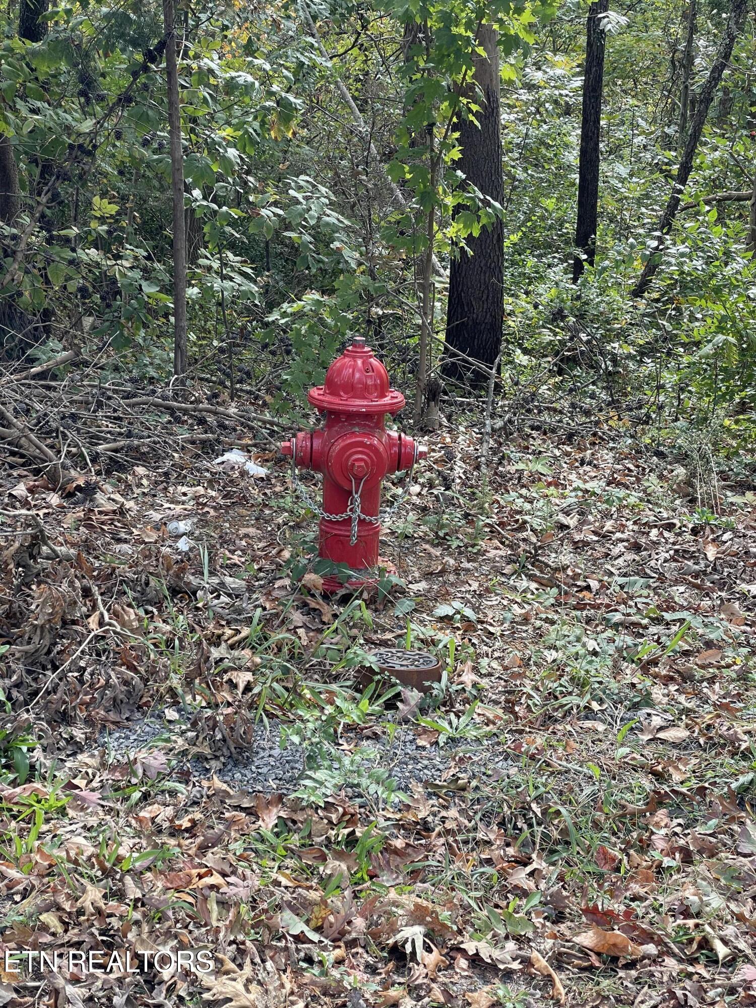 453 Statem Gap Road Morristown TN 37813