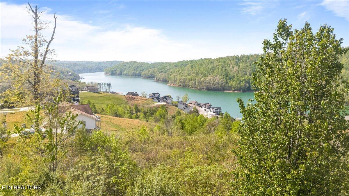 Pinnacle Lane Lafollette TN 37766