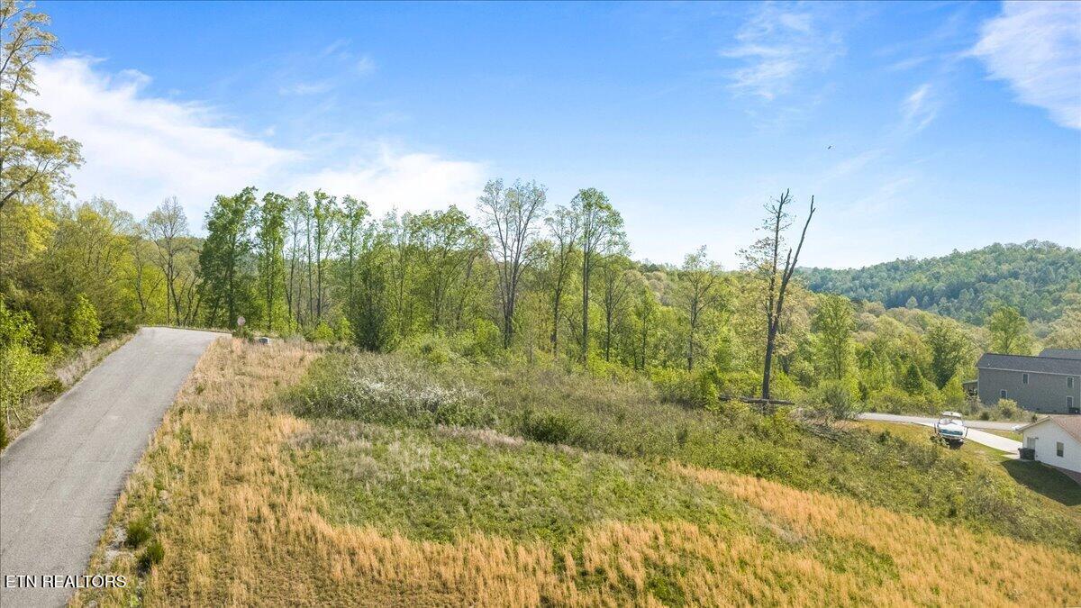 Pinnacle Lane Lafollette TN 37766