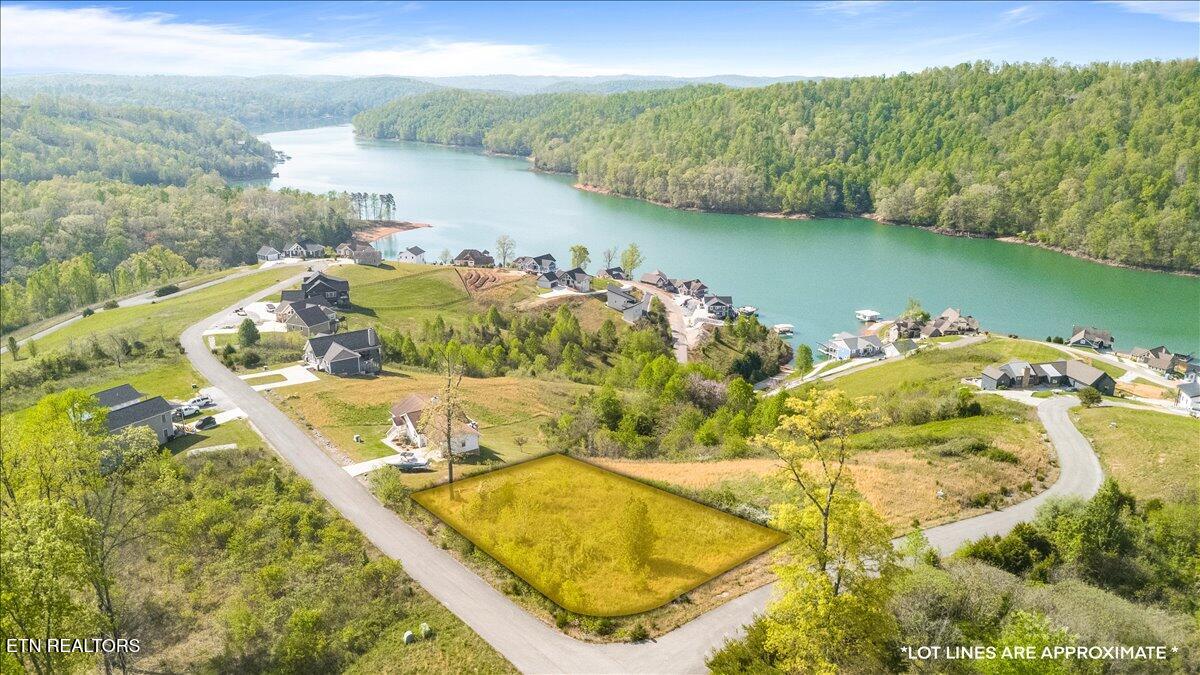 Pinnacle Lane Lafollette TN 37766