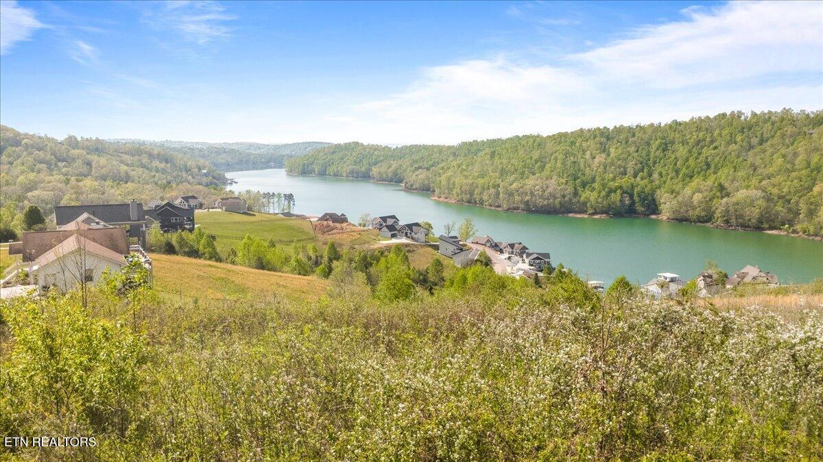 Pinnacle Lane Lafollette TN 37766