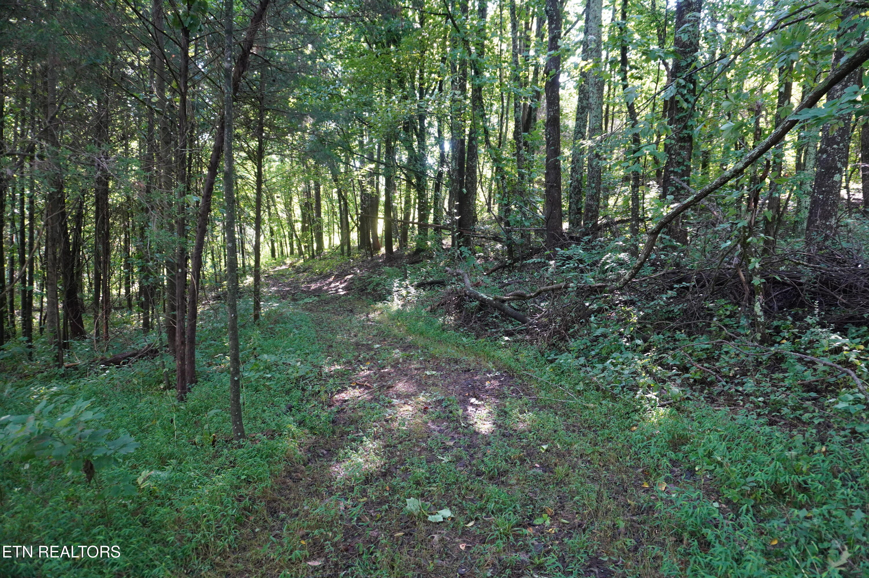 Tract 17 Pleasant View Cemetery Road New Market TN 37820
