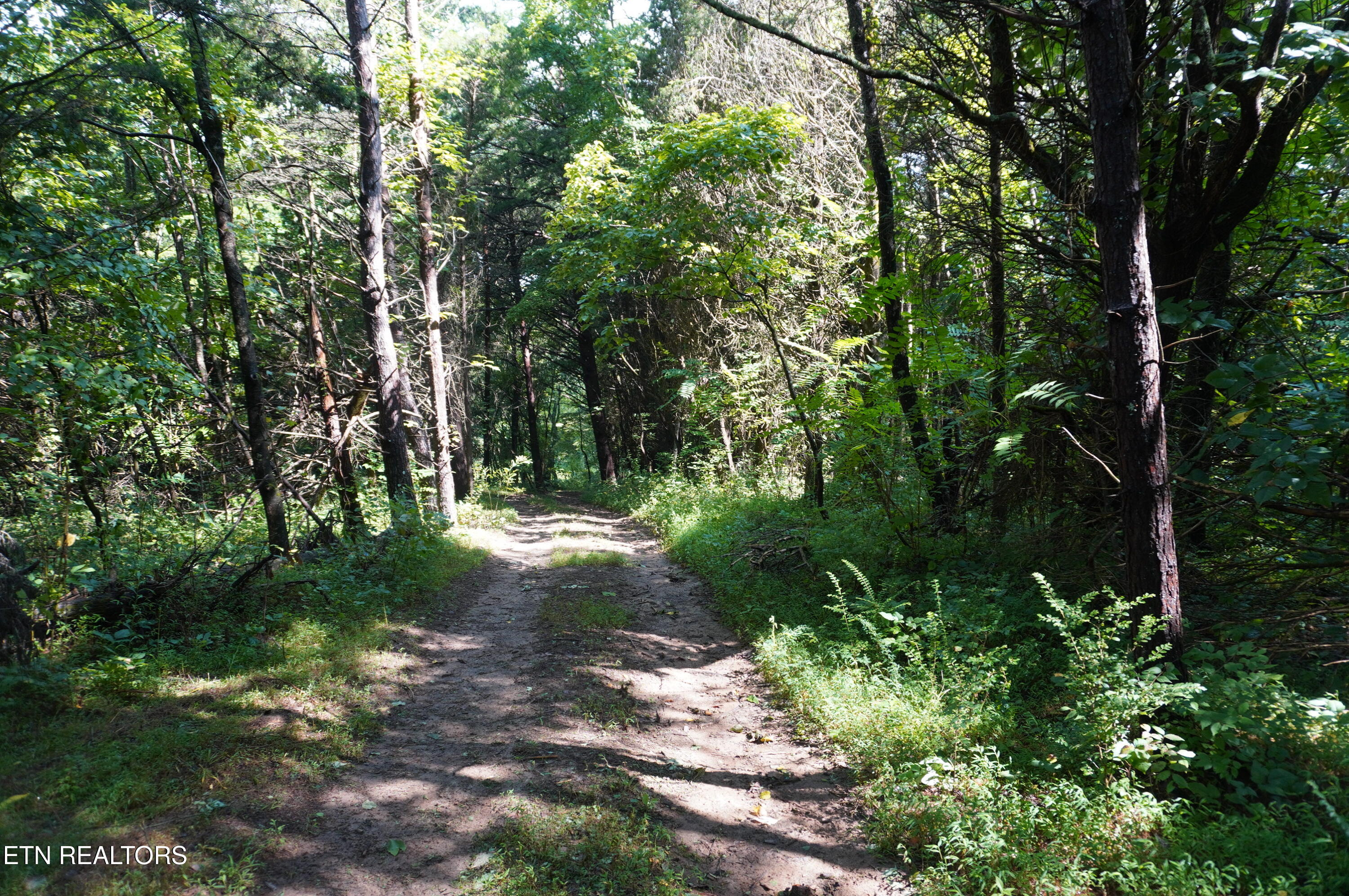 Tract 17 Pleasant View Cemetery Road New Market TN 37820