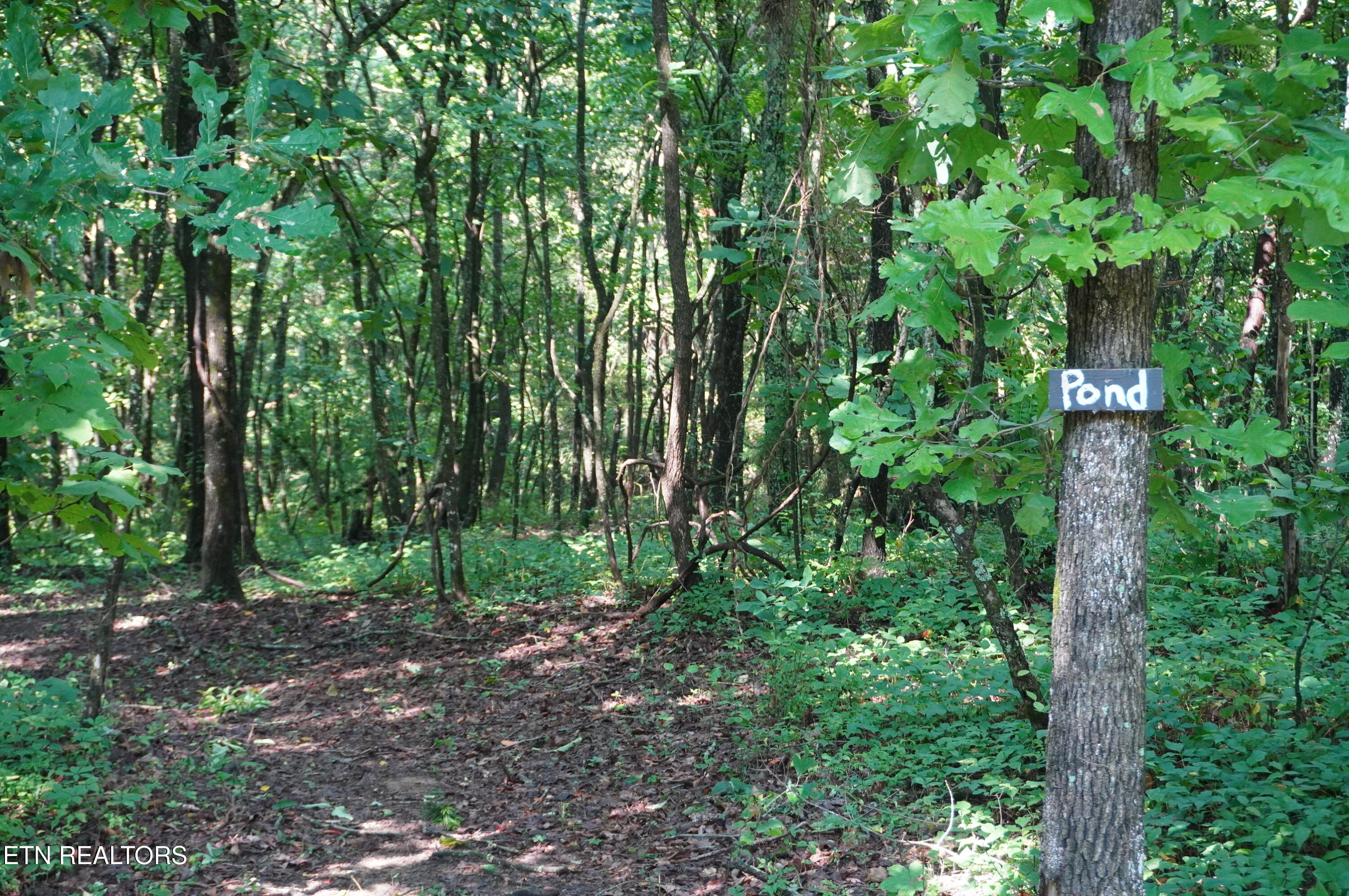 Tract 17 Pleasant View Cemetery Road New Market TN 37820