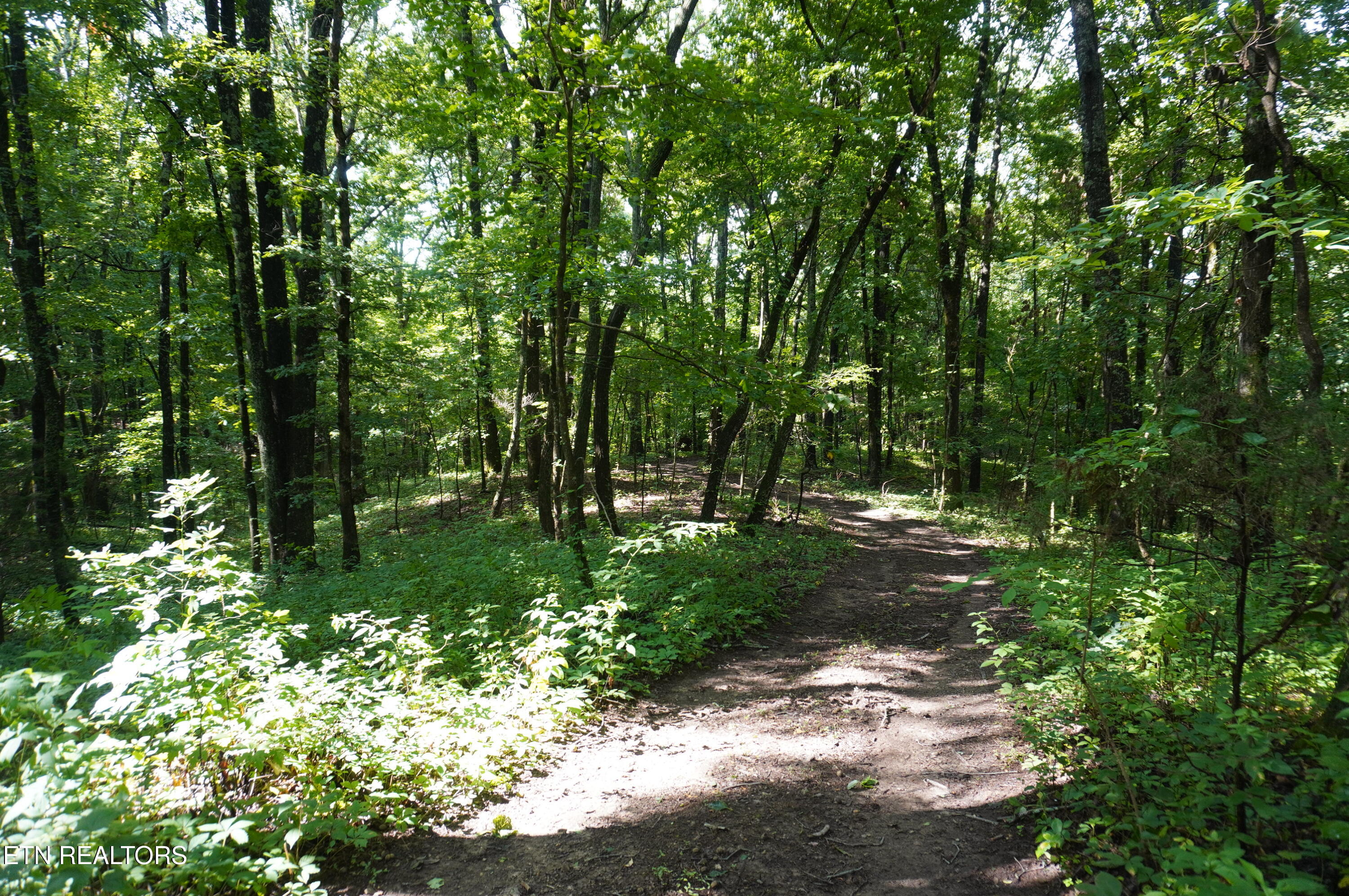 Tract 17 Pleasant View Cemetery Road New Market TN 37820