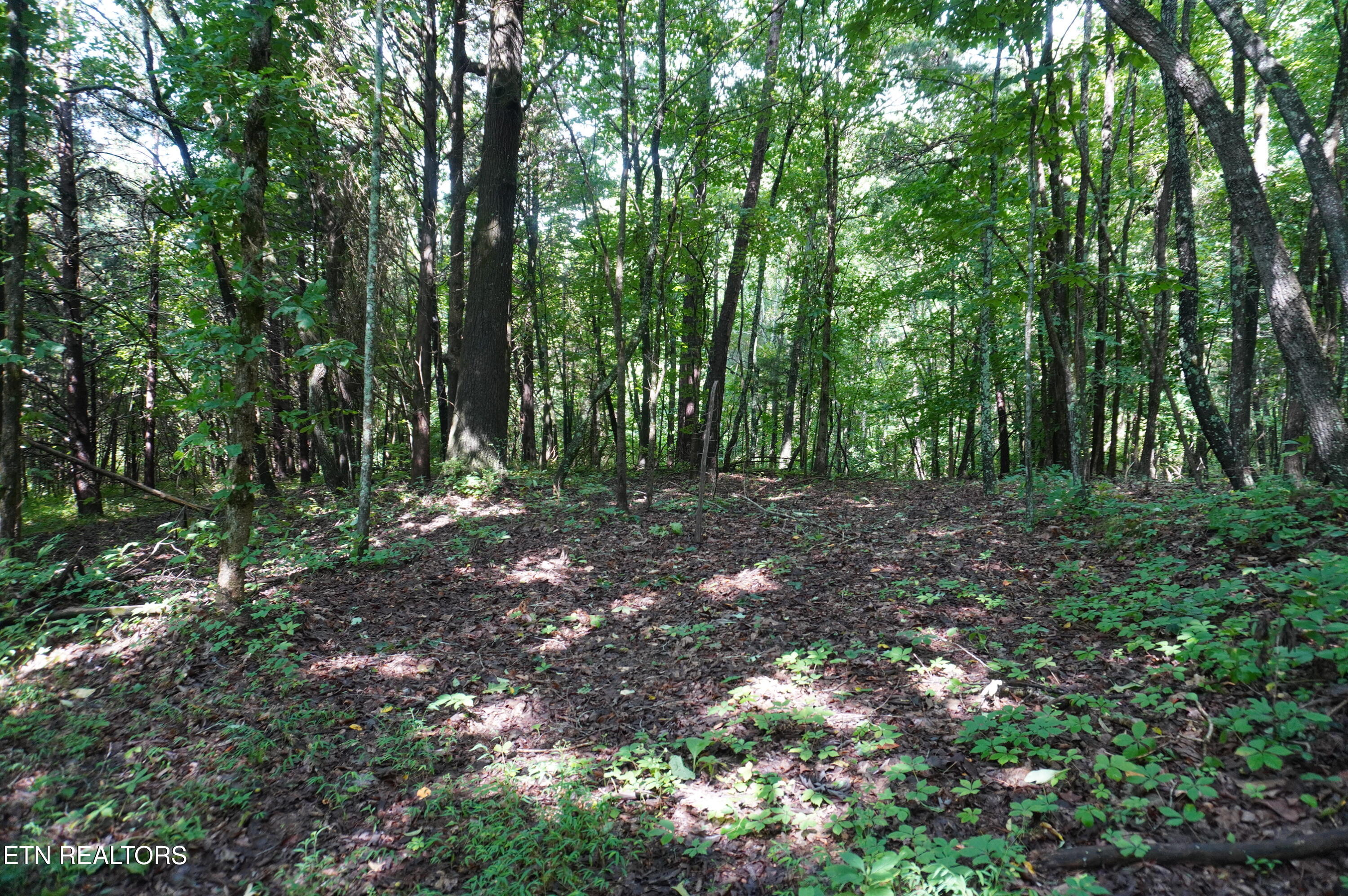 Tract 17 Pleasant View Cemetery Road New Market TN 37820