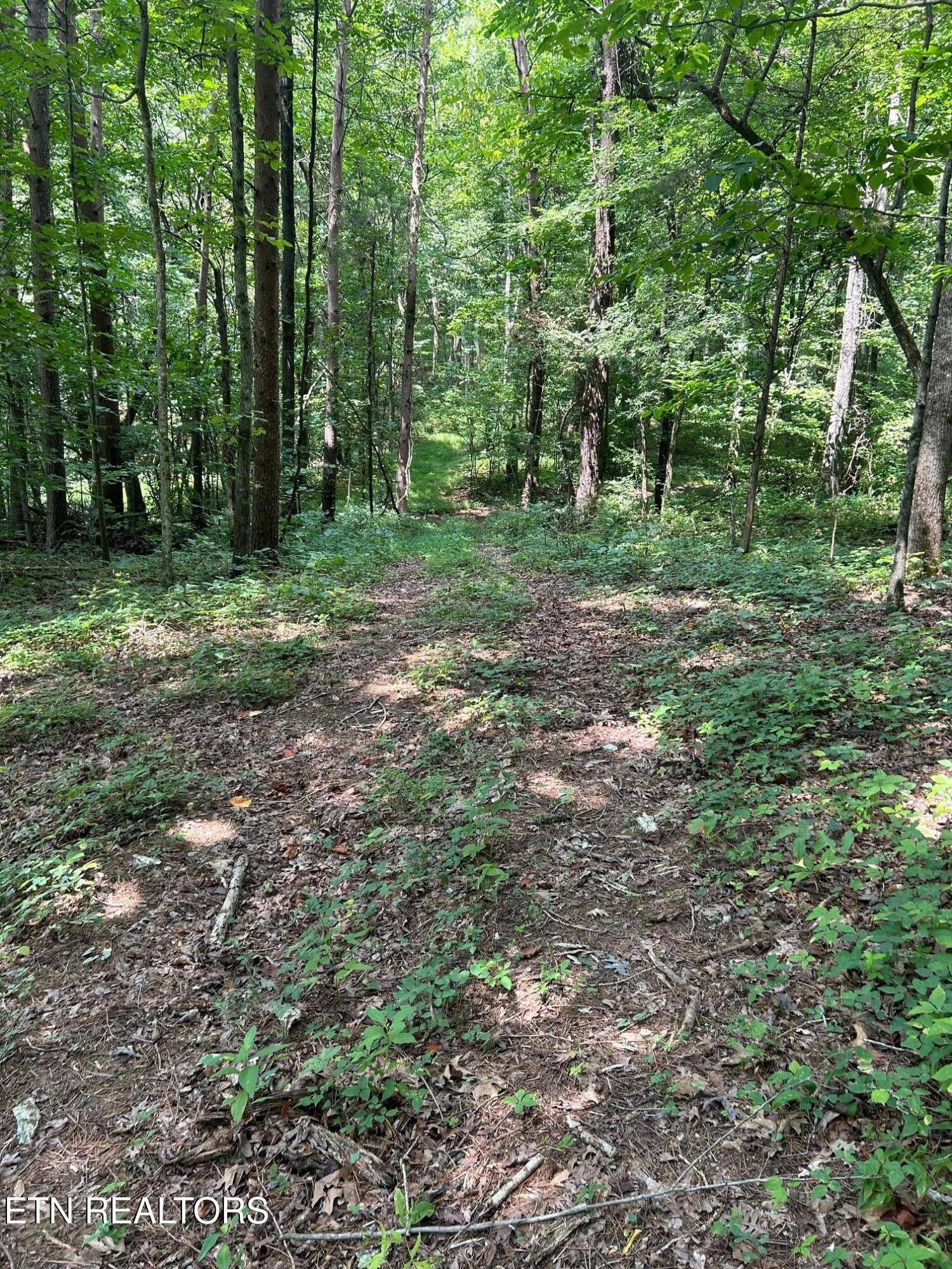 Tract 17 Pleasant View Cemetery Road New Market TN 37820