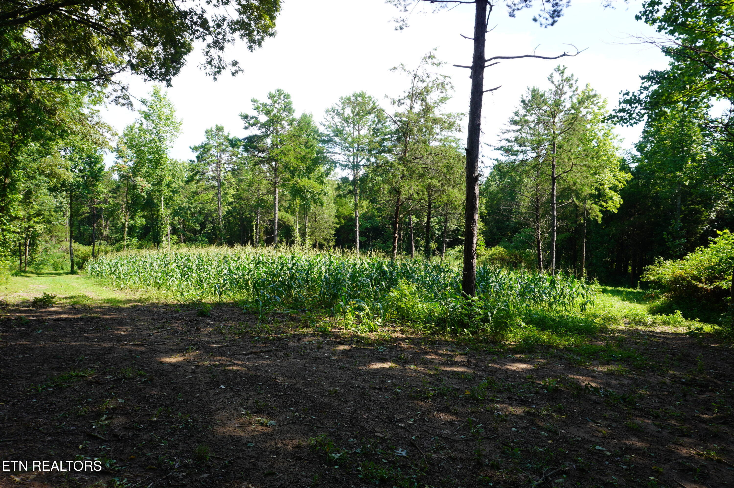 Tract 17 Pleasant View Cemetery Road New Market TN 37820