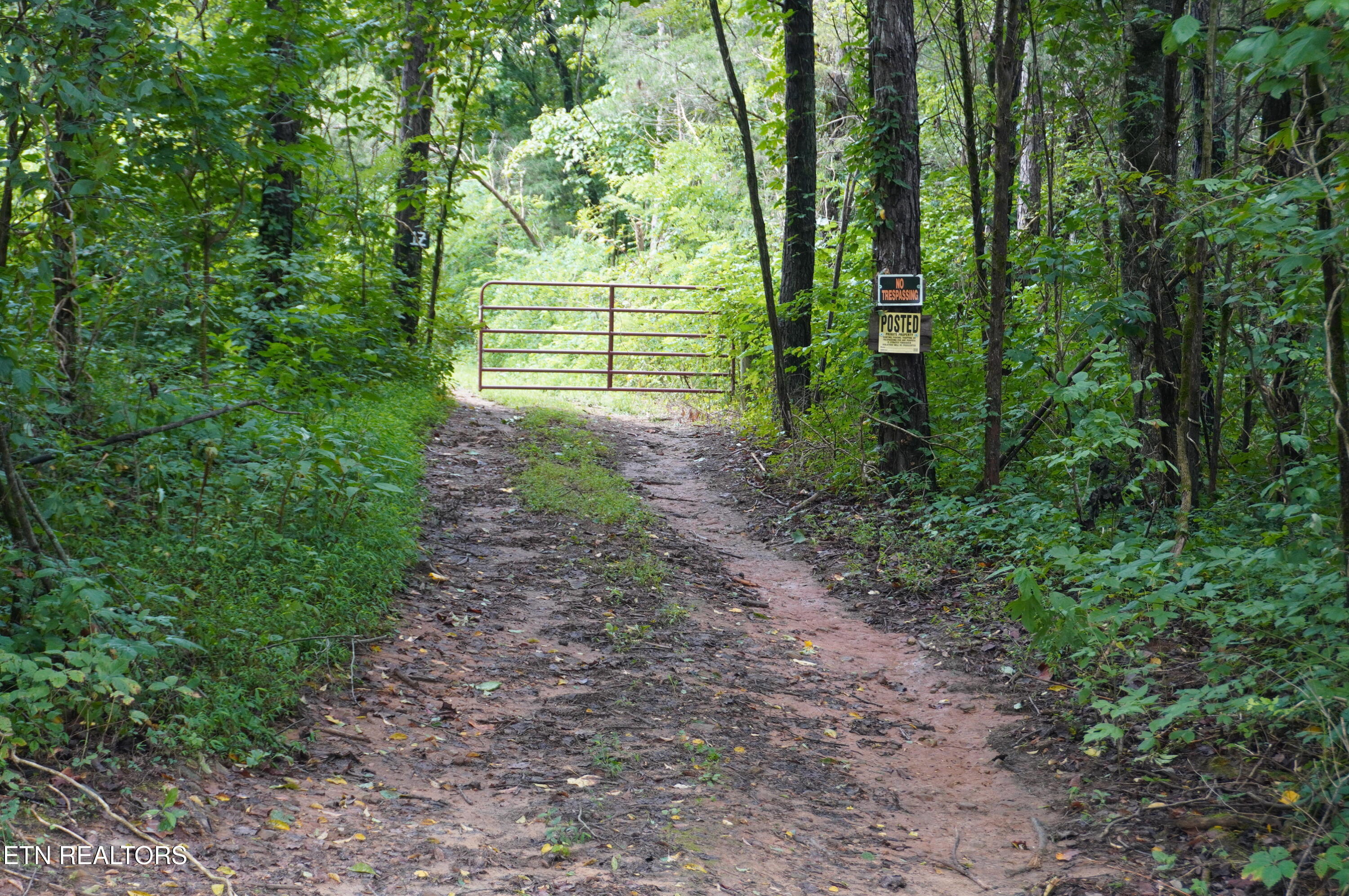 Tract 17 Pleasant View Cemetery Road New Market TN 37820