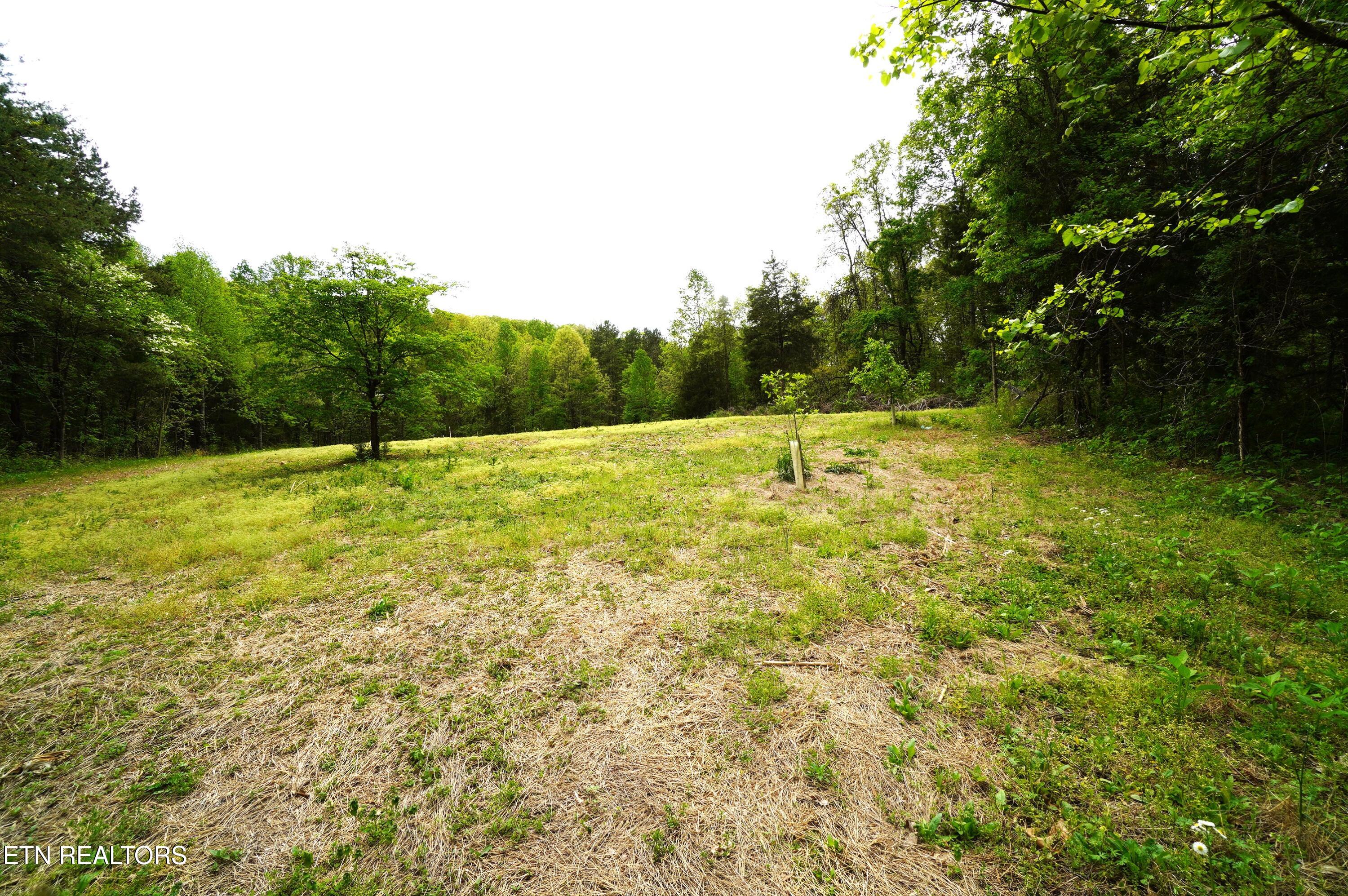 Tract 17 Pleasant View Cemetery Road New Market TN 37820