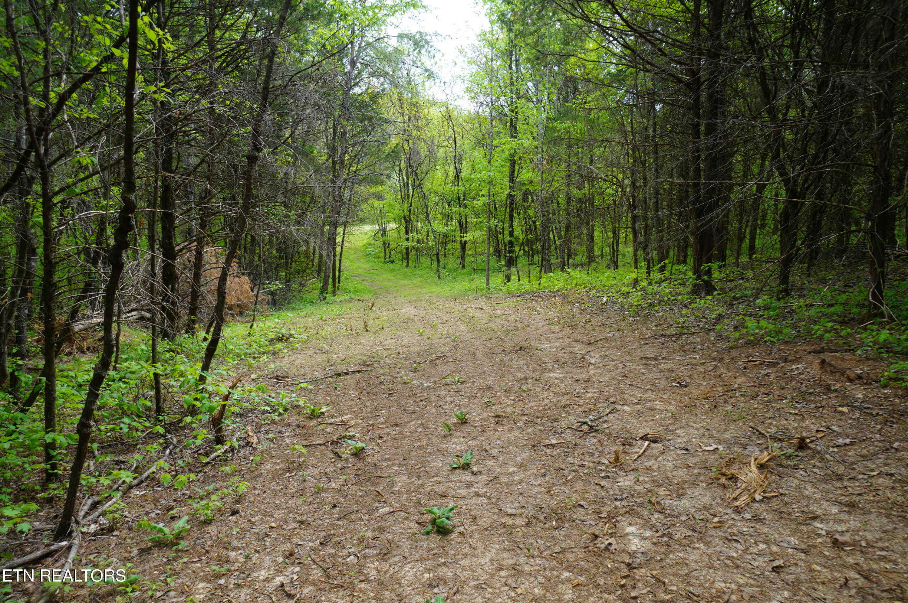Tract 17 Pleasant View Cemetery Road New Market TN 37820