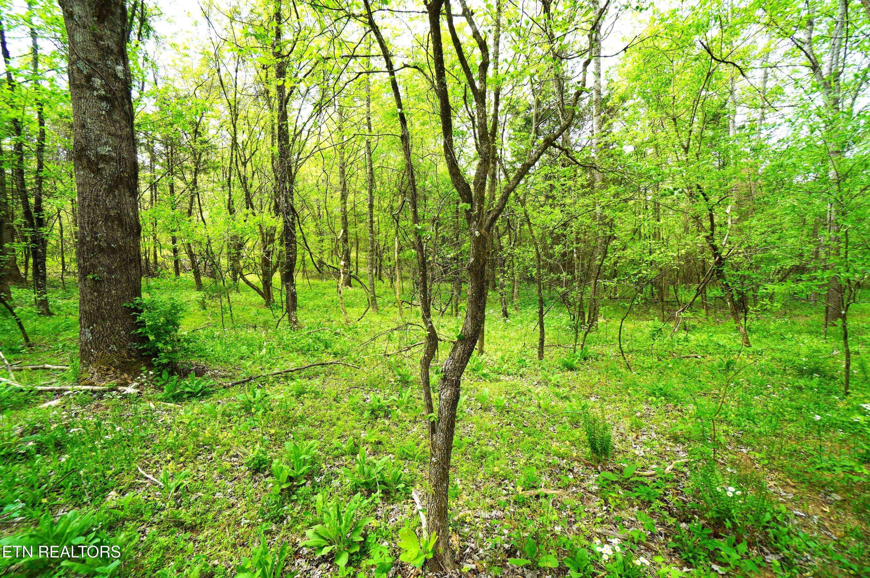 Tract 17 Pleasant View Cemetery Road New Market TN 37820
