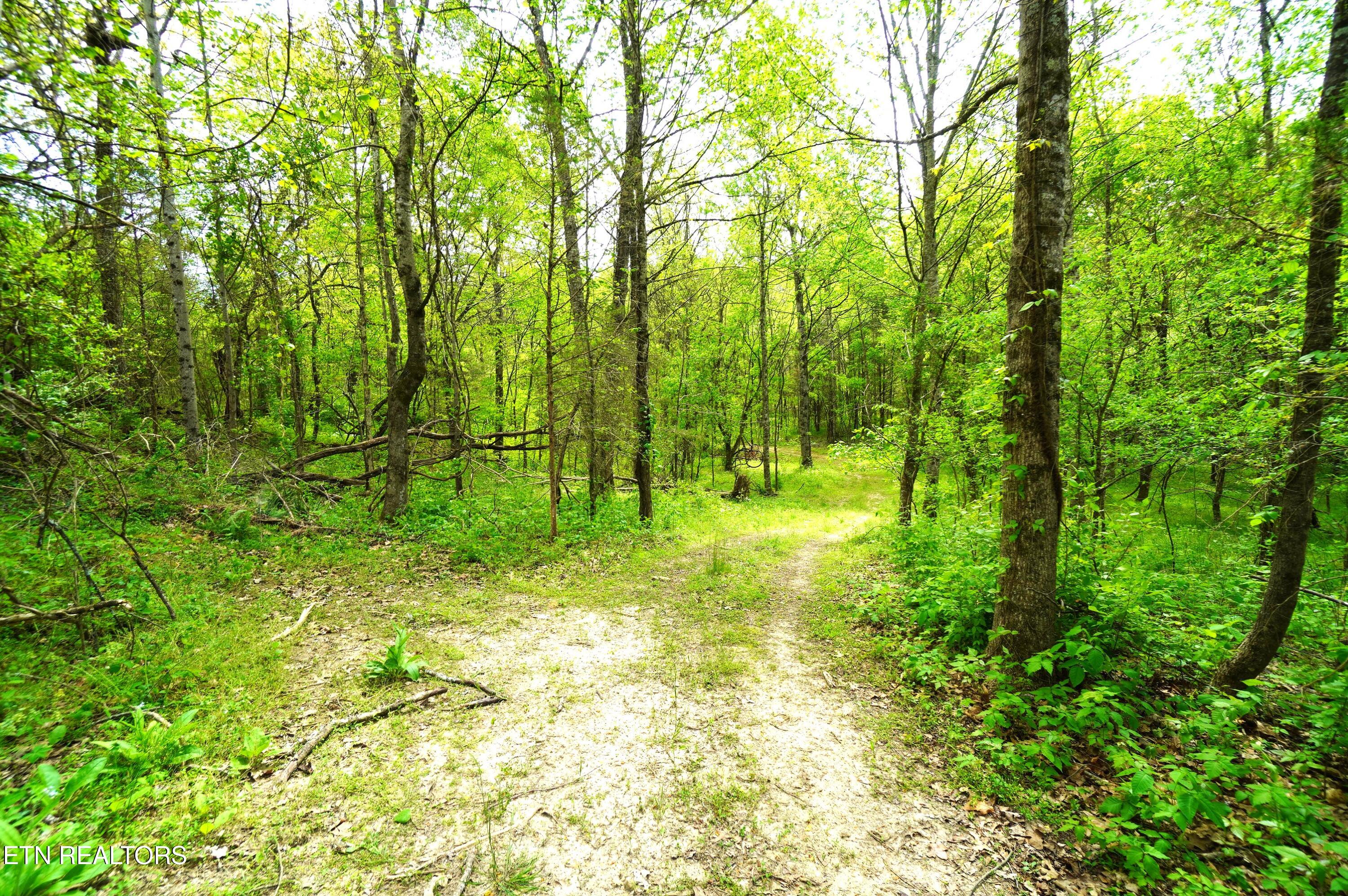 Tract 17 Pleasant View Cemetery Road New Market TN 37820