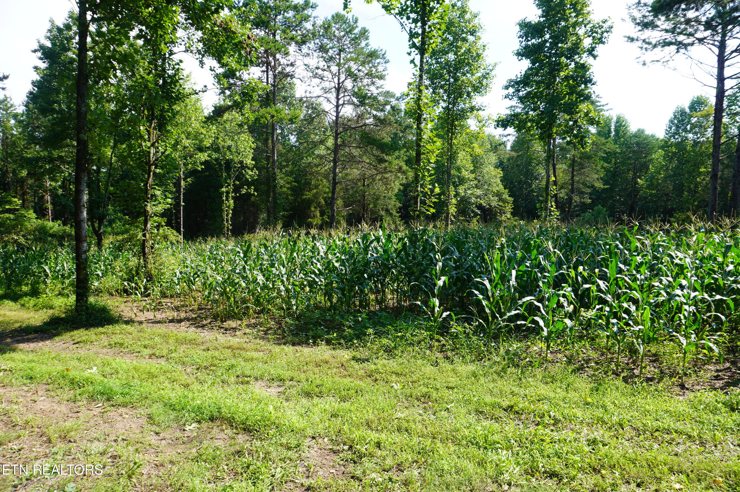 Tract 17 Pleasant View Cemetery Road New Market TN 37820