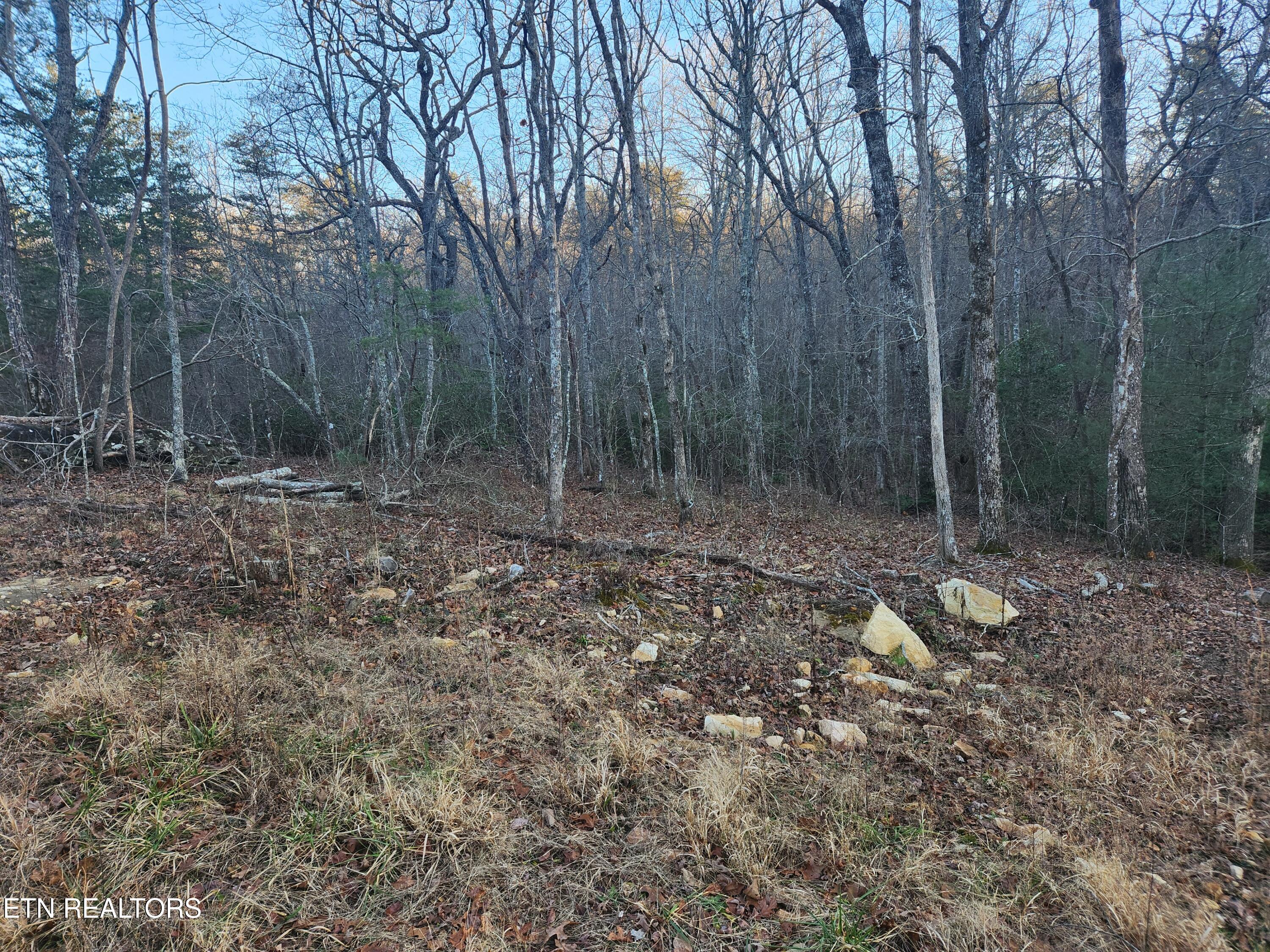 448 St. George Drive Crossville TN 38558