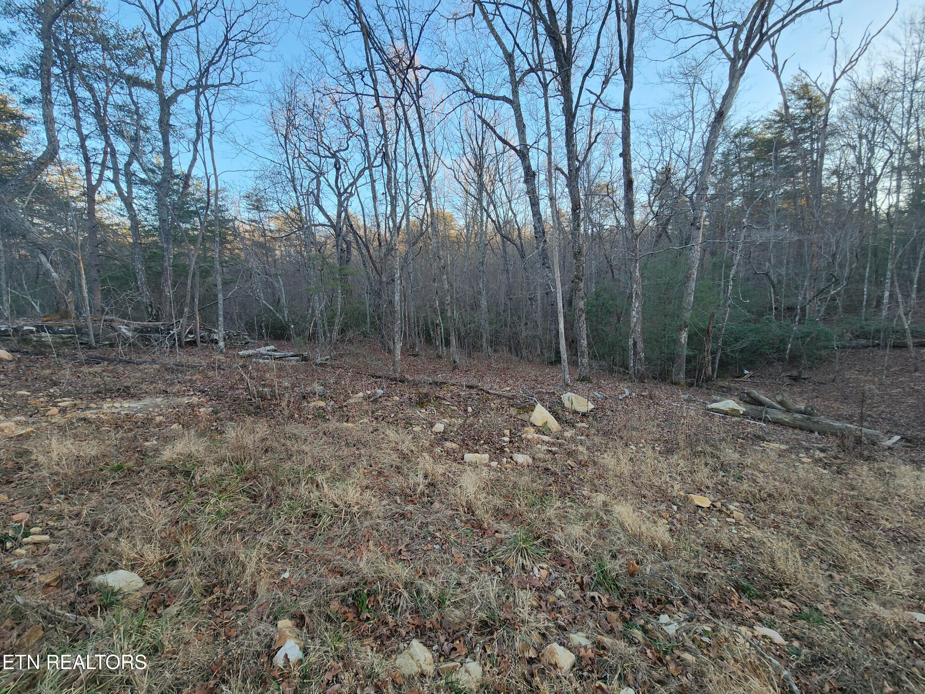 448 St. George Drive Crossville TN 38558