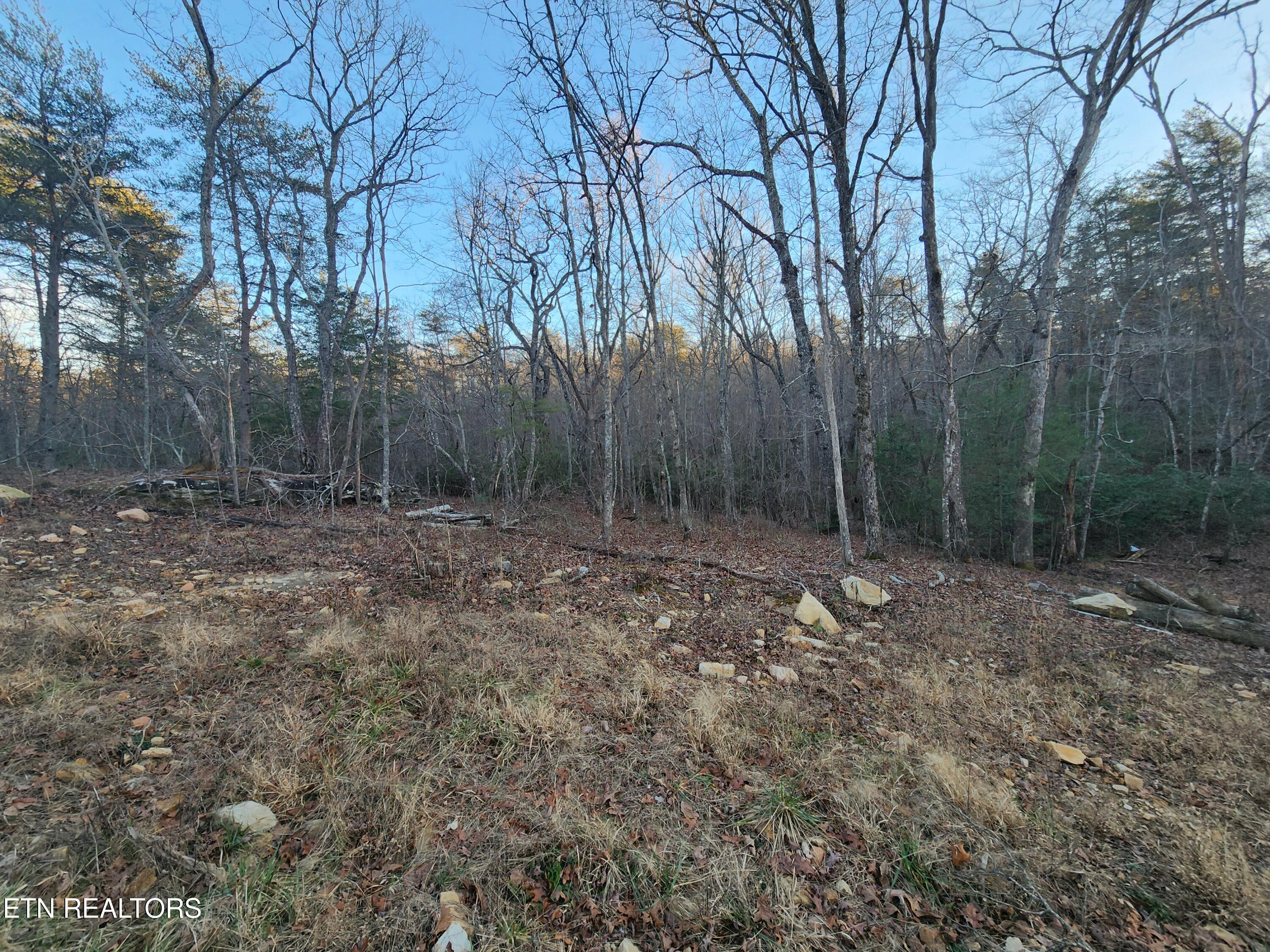 448 St. George Drive Crossville TN 38558